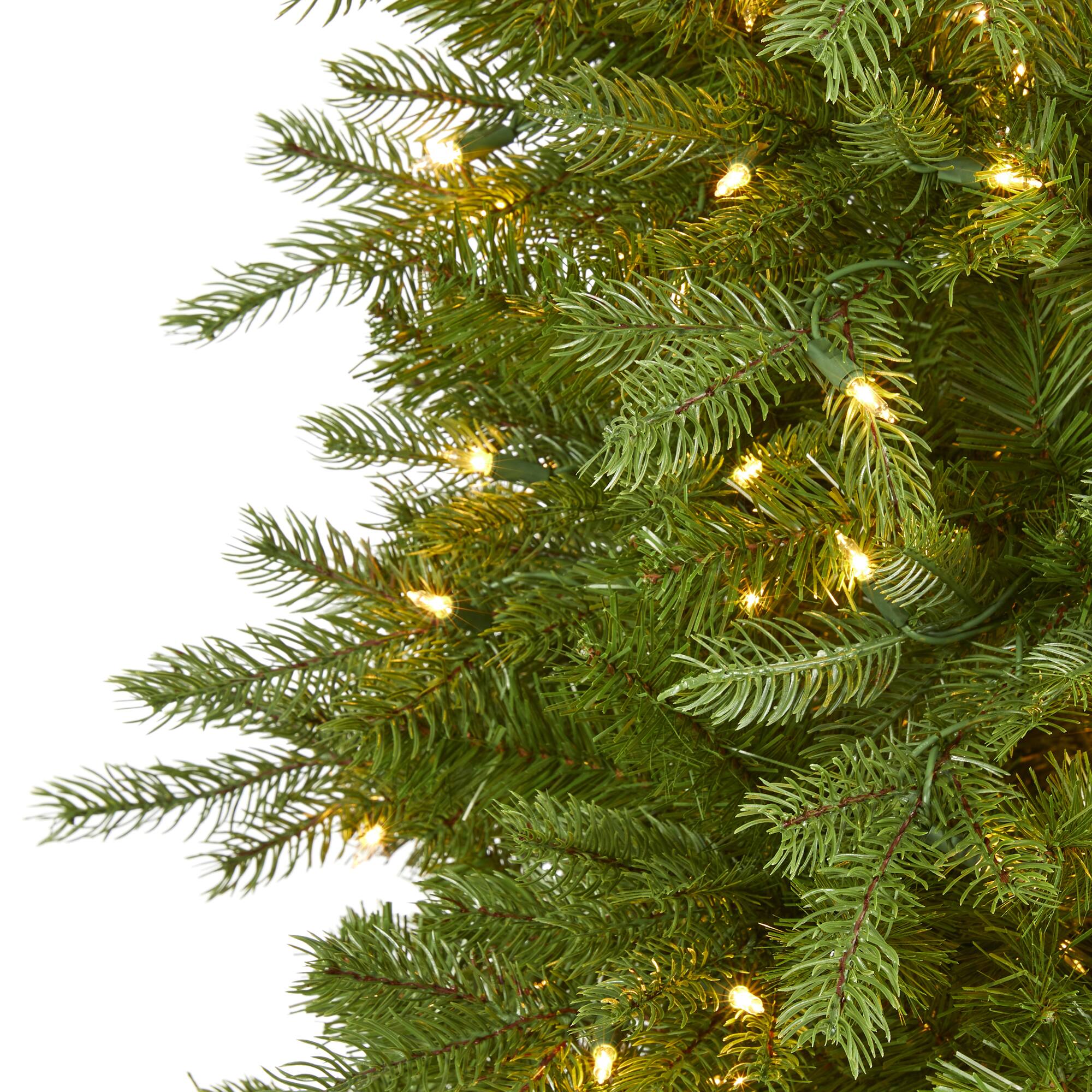 6ft. Pre-Lit Vienna Fir Artificial Christmas Tree, Warm White LED Lights