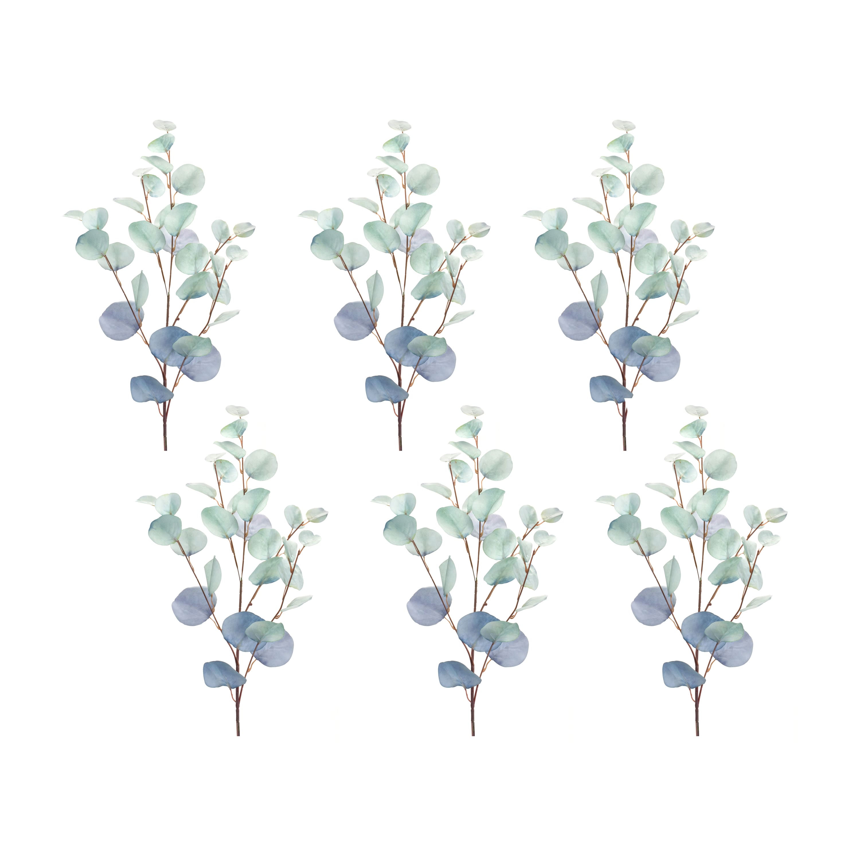 Eucalyptus Spray
