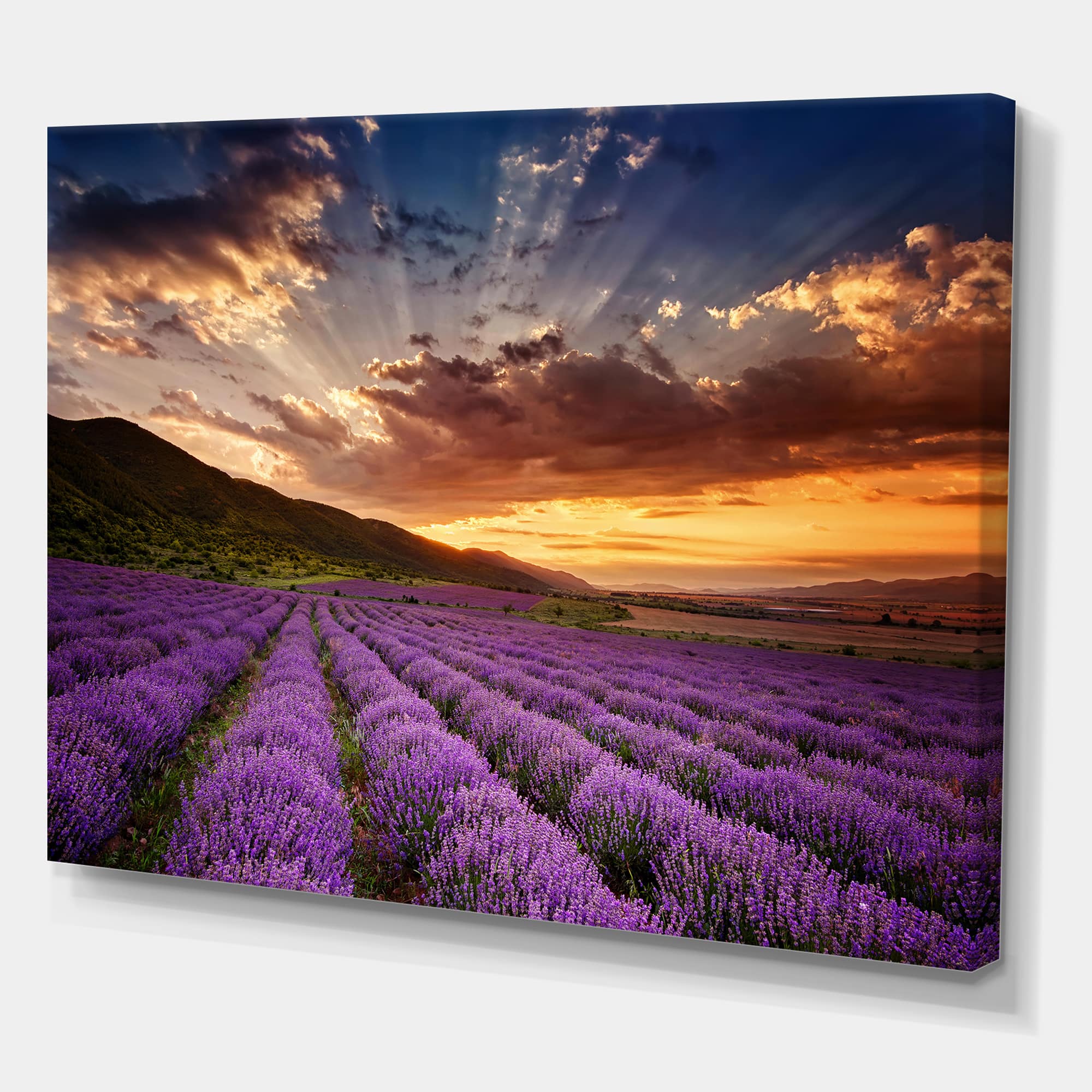 Designart - Sunrise & Dramatic Clouds Over Lavender Field X - Farmhouse Canvas Wall Art Print