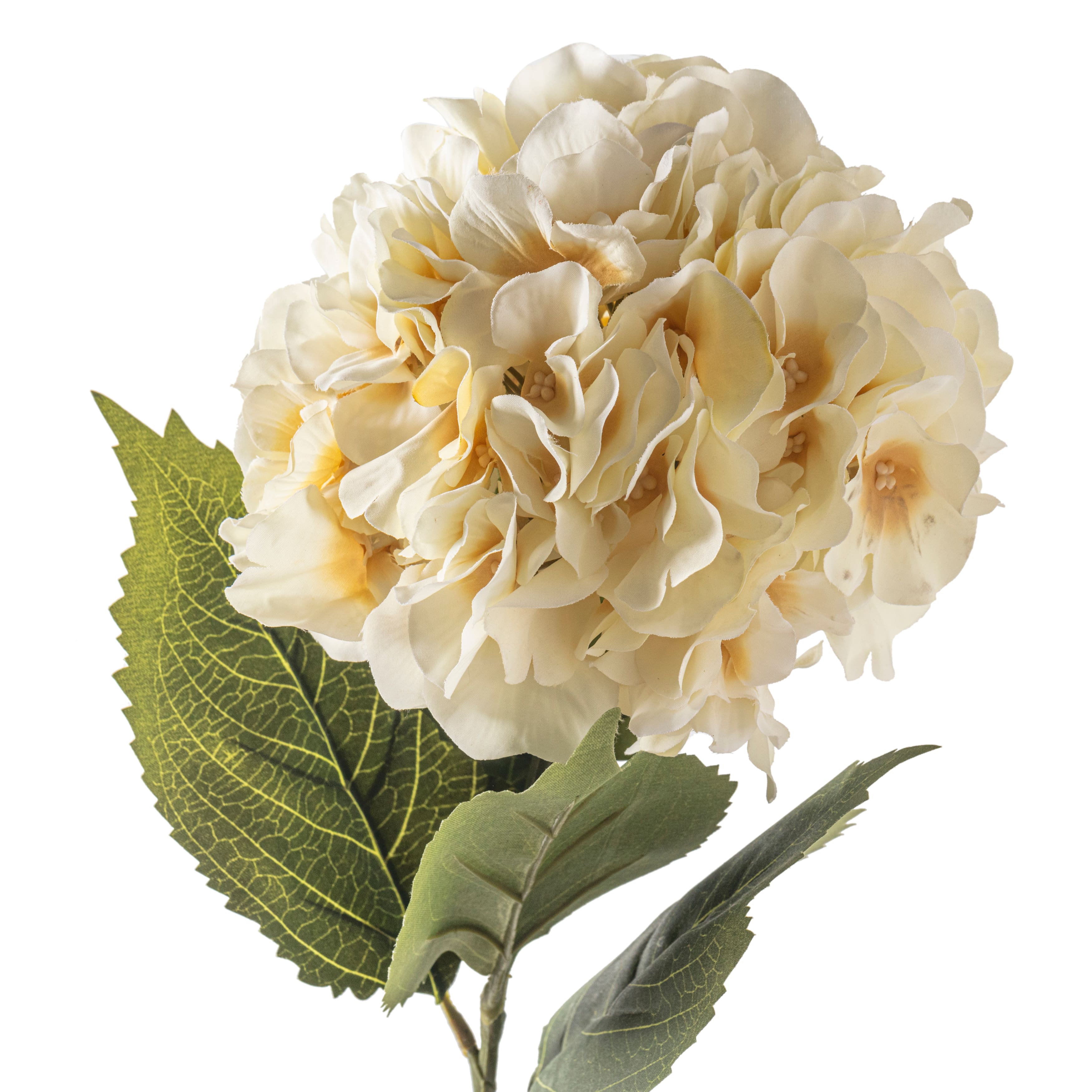 Garden Blooms Hydrangea Stem by Ashland®