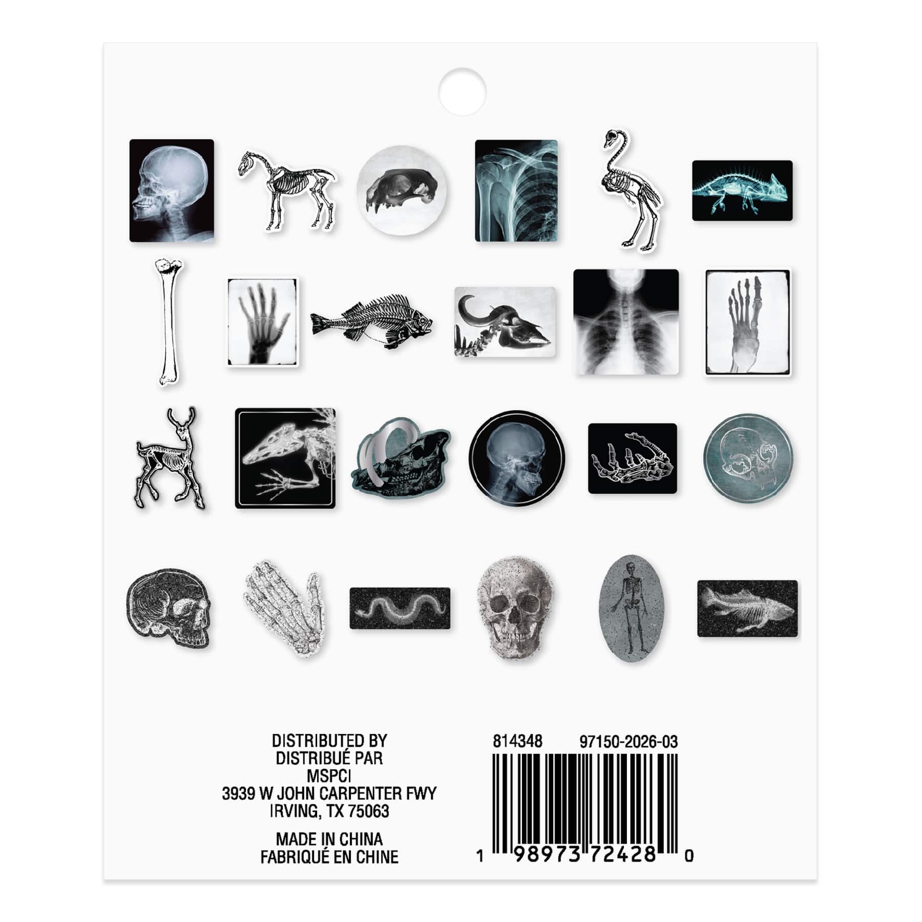 Halloween Bones & X-Rays Die Cut Ephemera by Recollections™