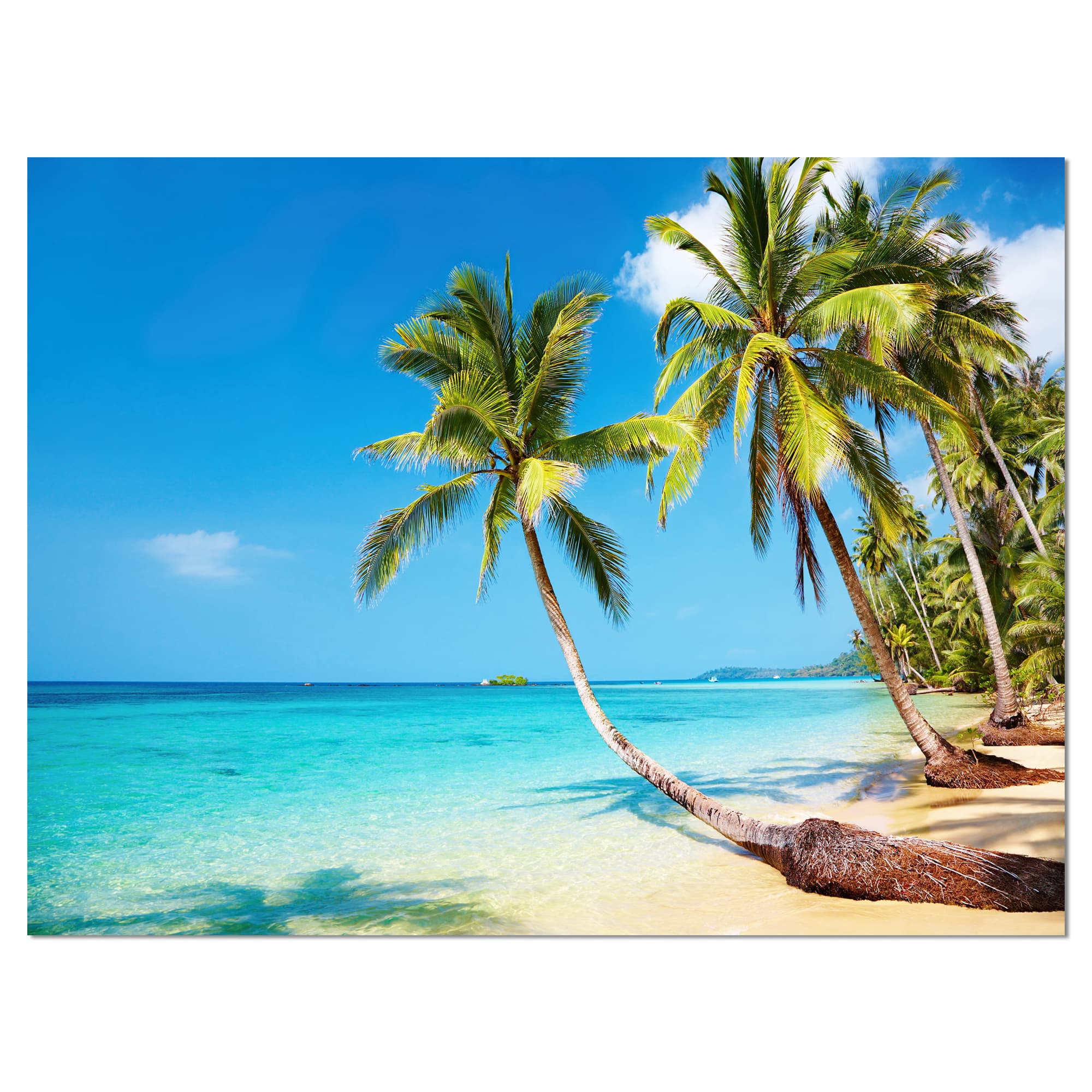 Designart - Tropical Beach