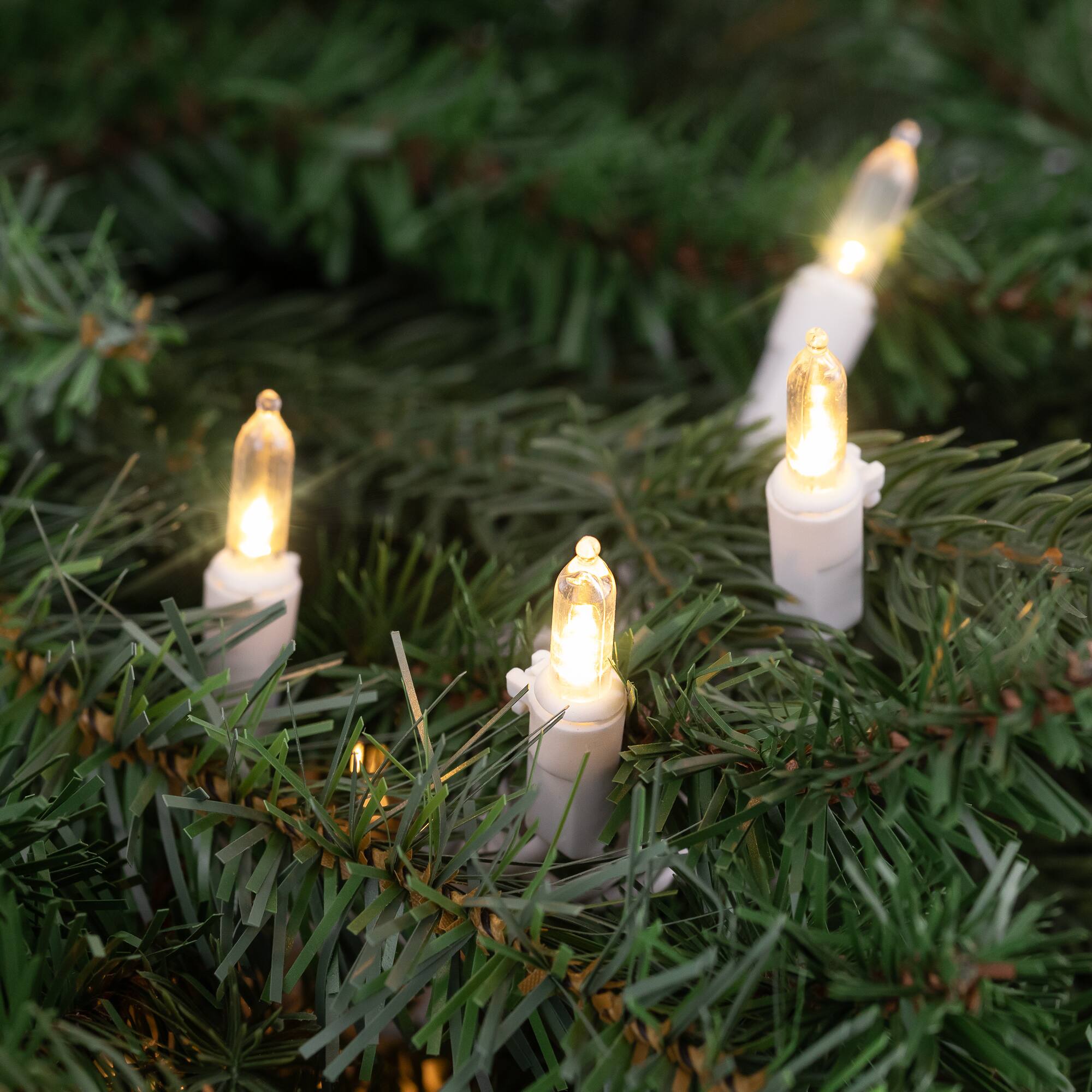 100ct. LED Mini Christmas Lights With White Wire