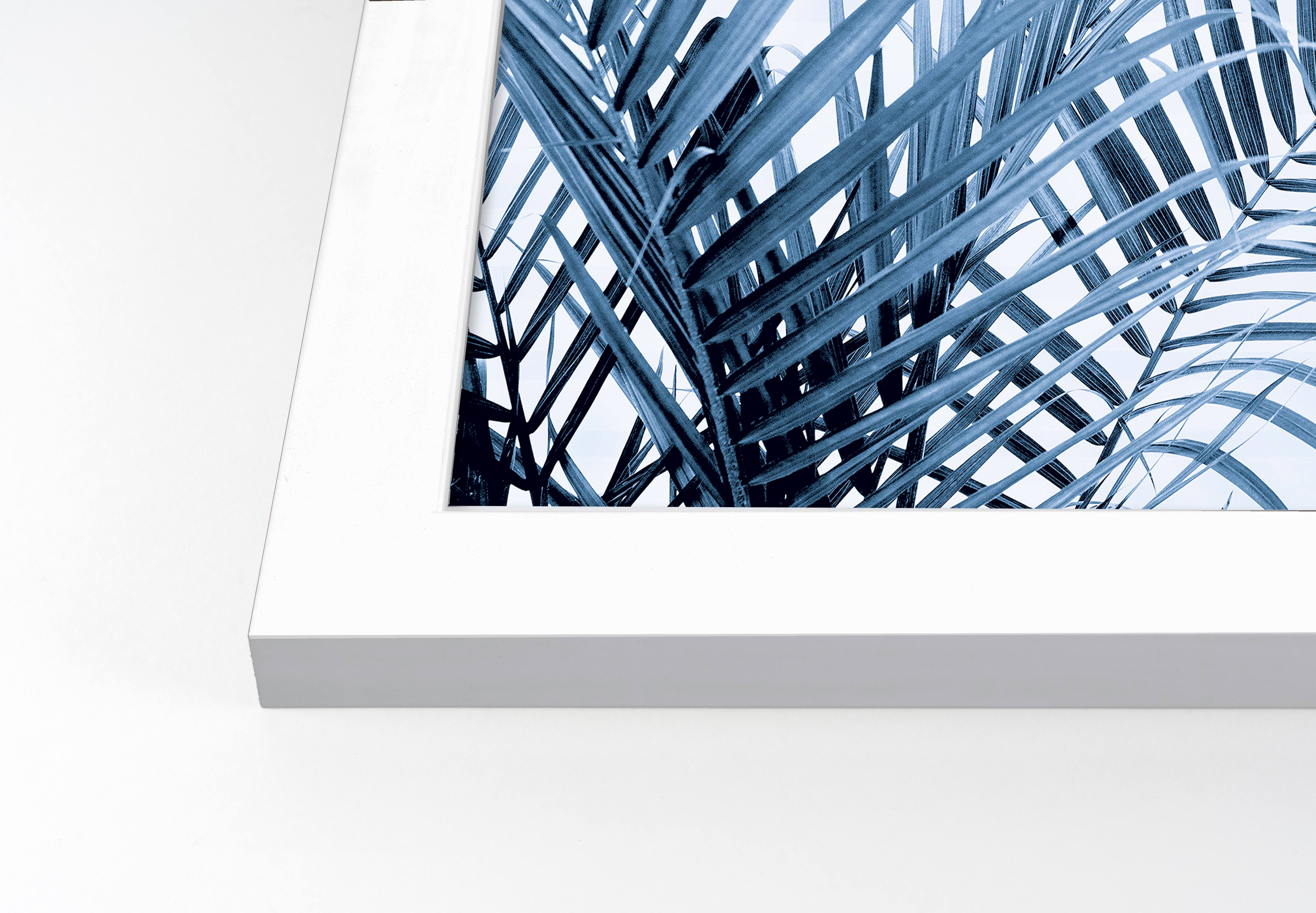 Striped Blue Palms Wall Print in White Frame
