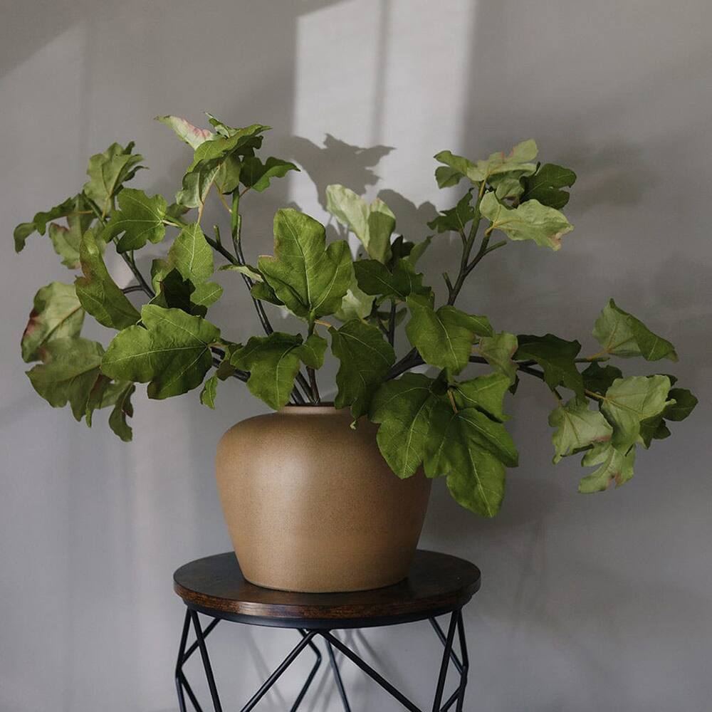 Prestige Botanicals 39" Artificial Fig Leaf Branch Stem