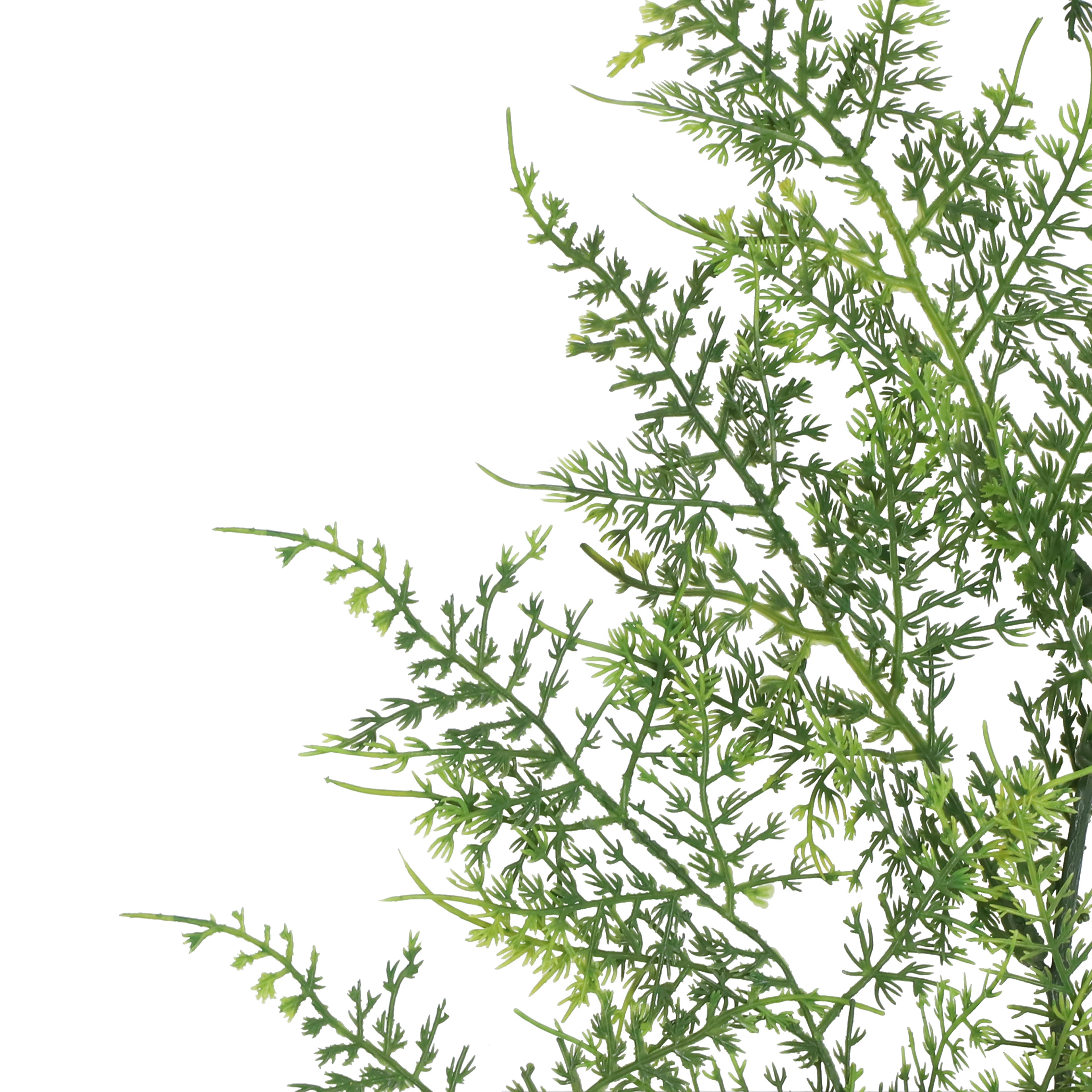 6ft. Forest Green Asparagus Fern Garland by Ashland®