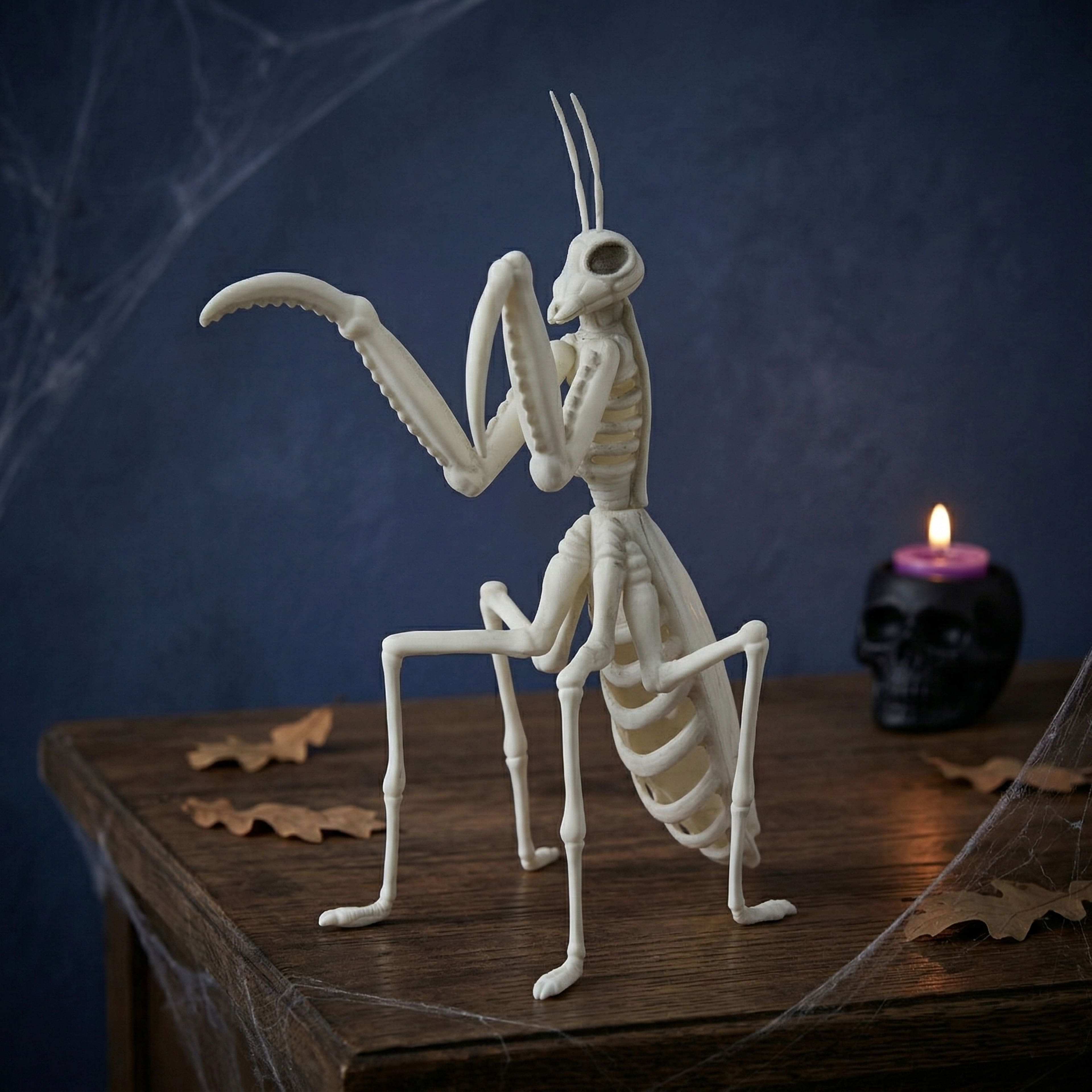 9.4" Mantis Skeleton by Ashland®