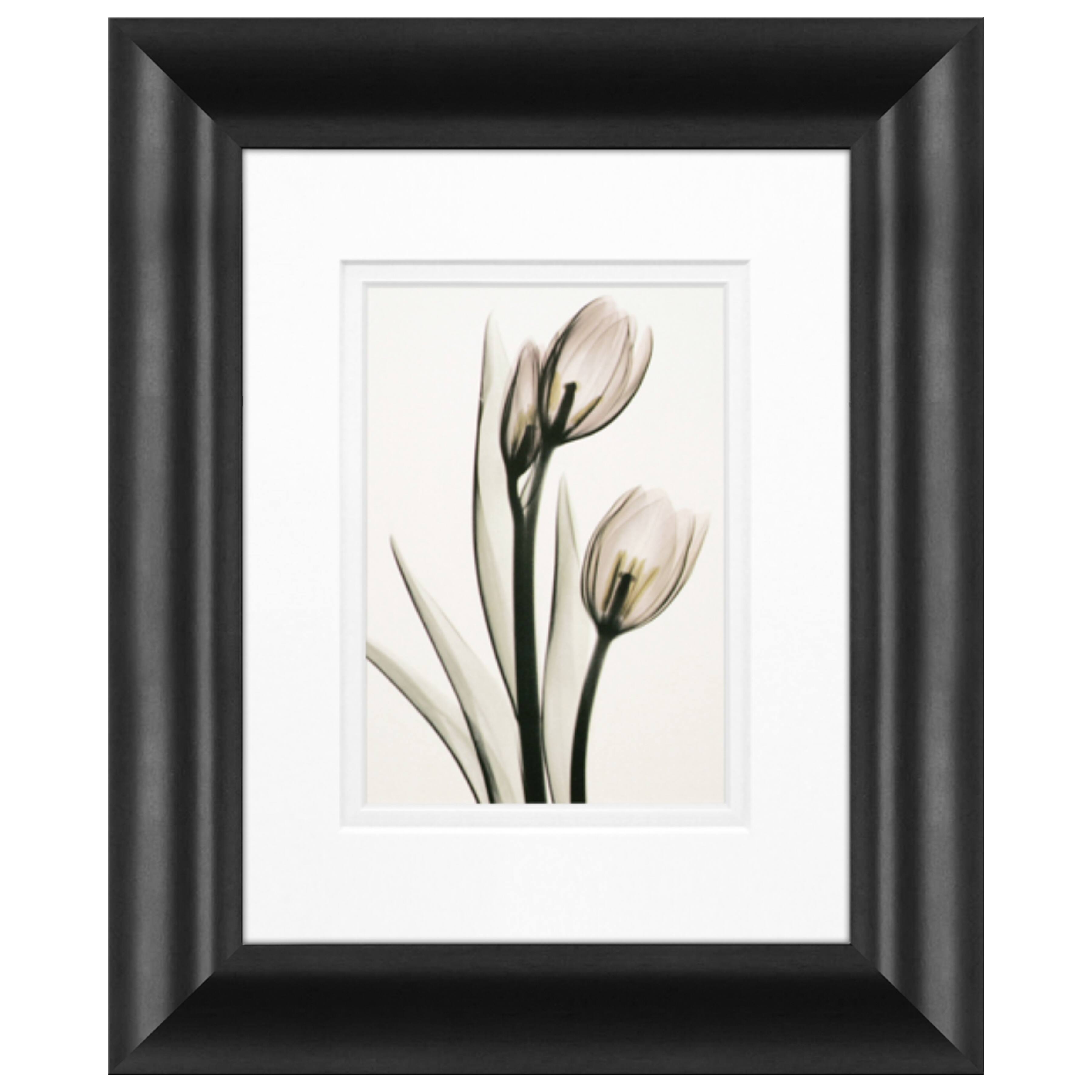 Timeless Frames® Pink Tulips Framed Wall Décor
