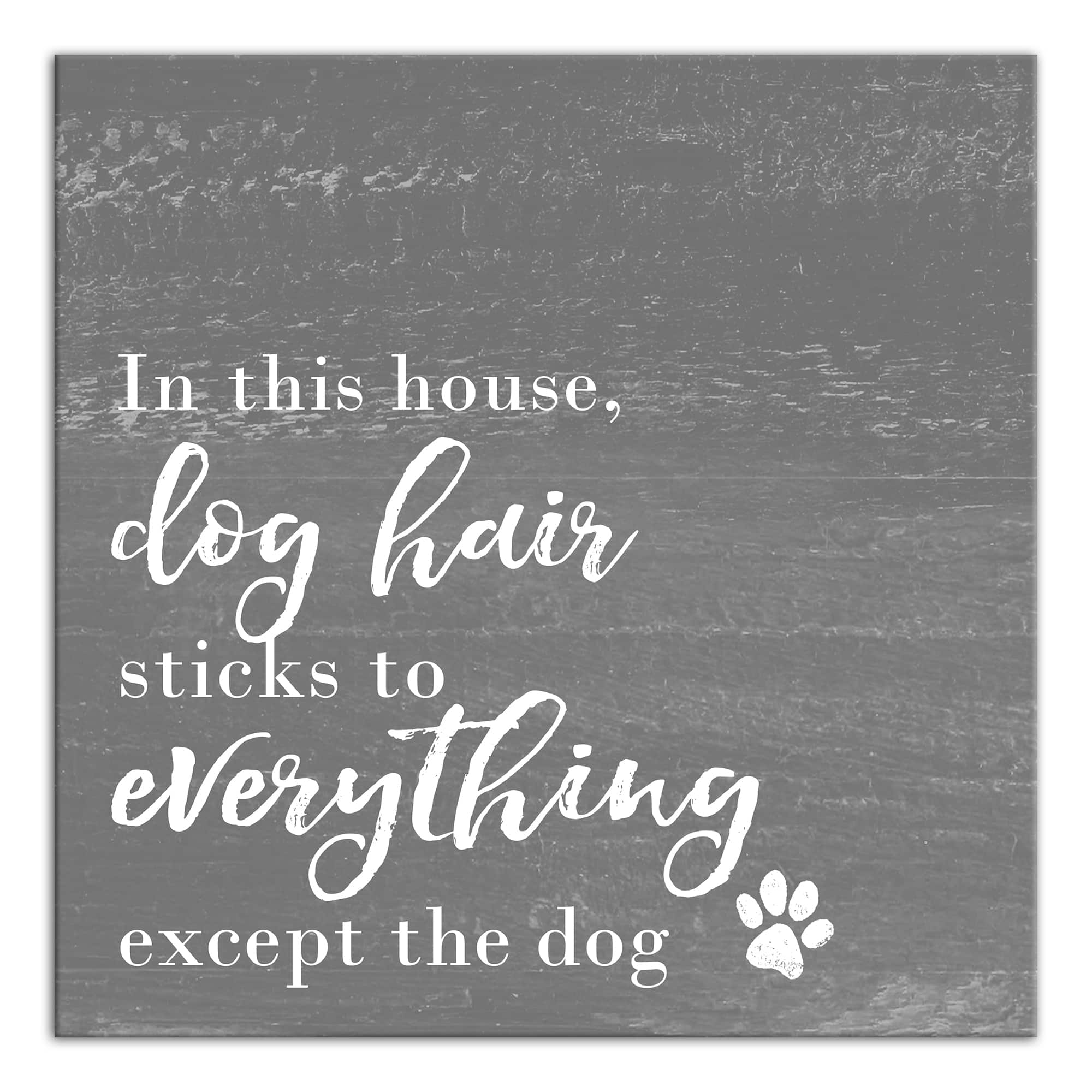 Dog Hair Sticks to Everything Canvas Wall Art