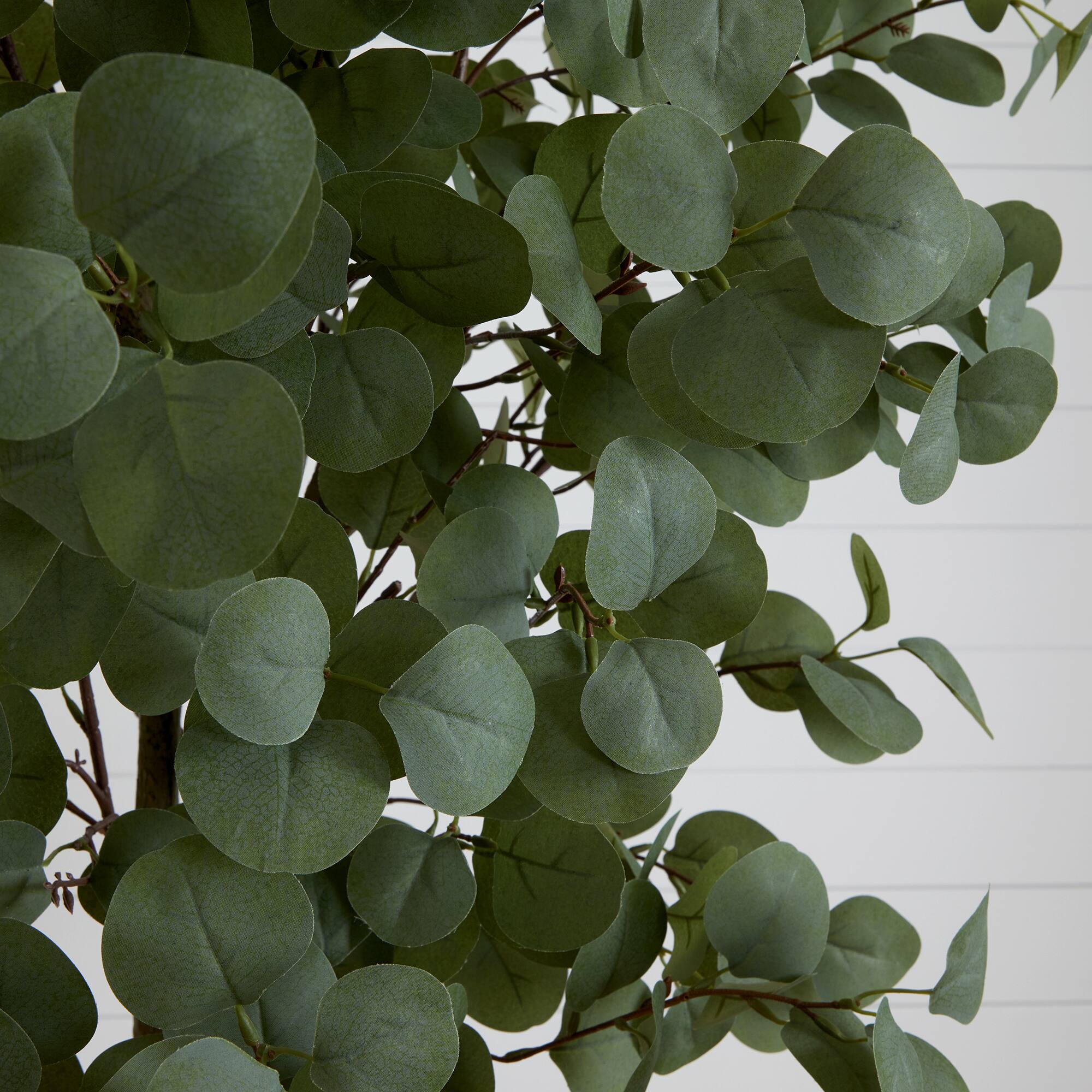 7ft. Potted Artificial Eucalyptus Tree