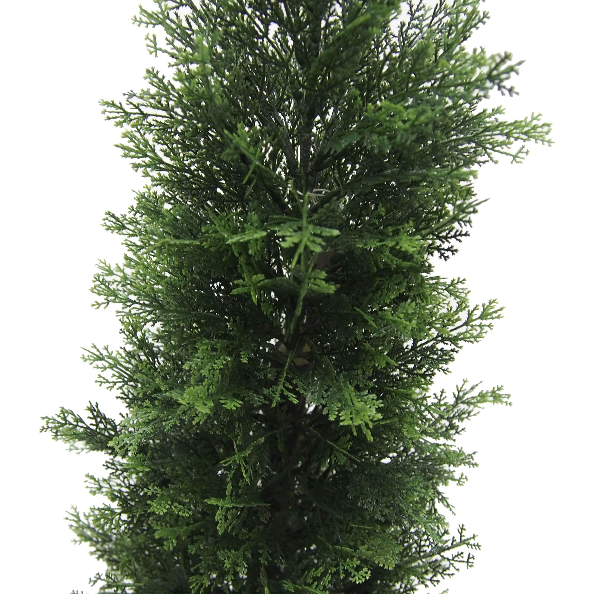 3ft. Potted Cedar Tree