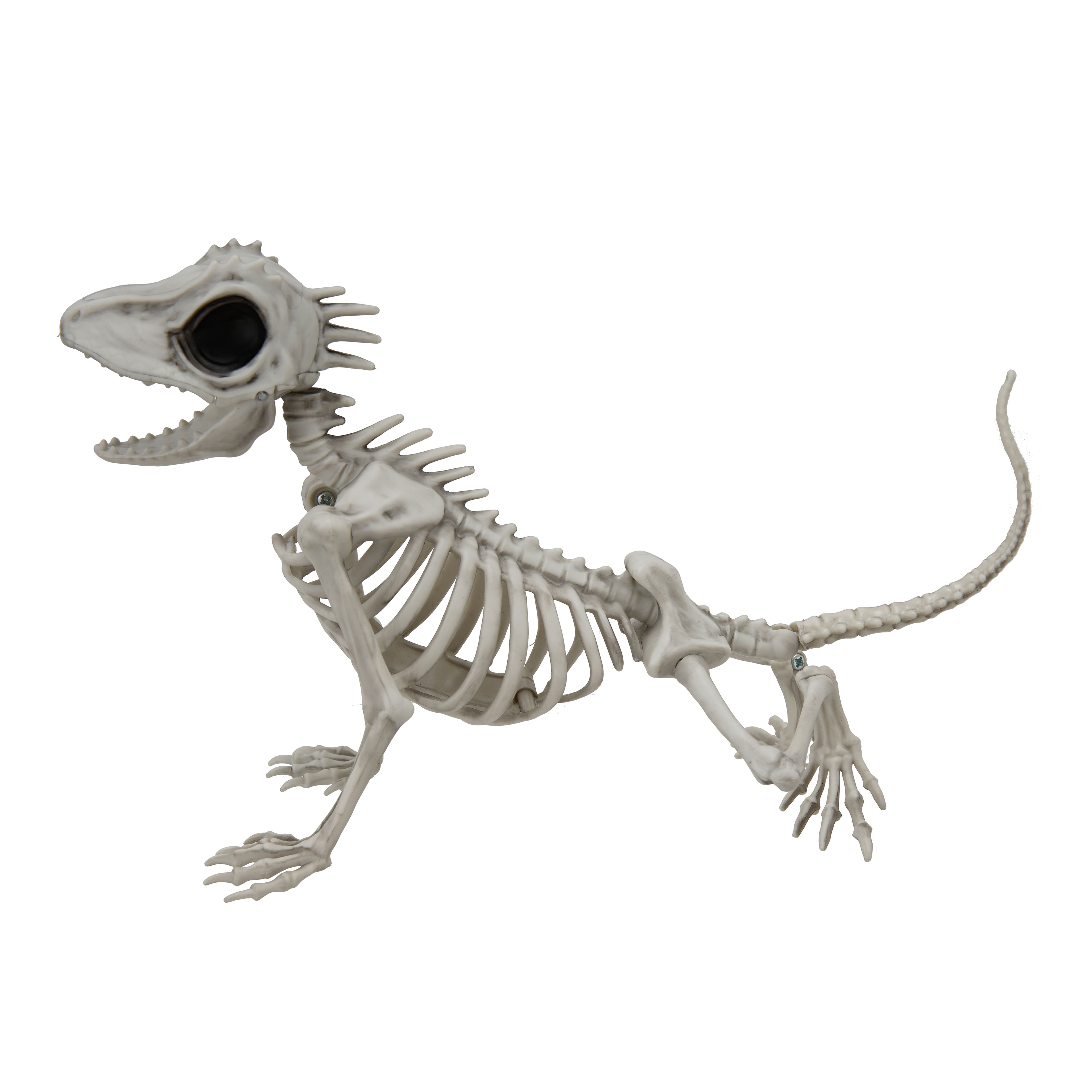 9" Lizard Skeleton by Ashland®