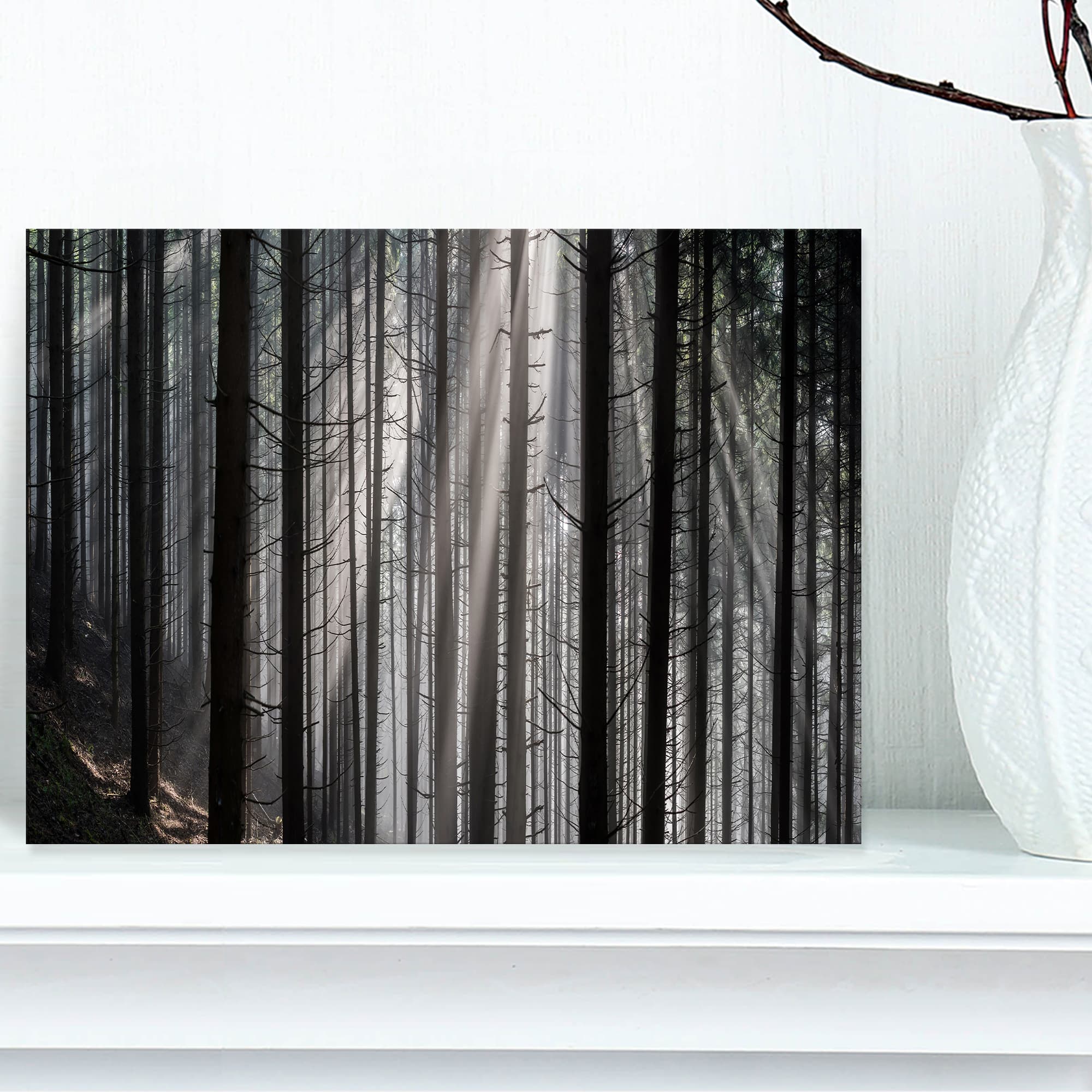 Designart - Sunbeams Peeking Through Dark Forest