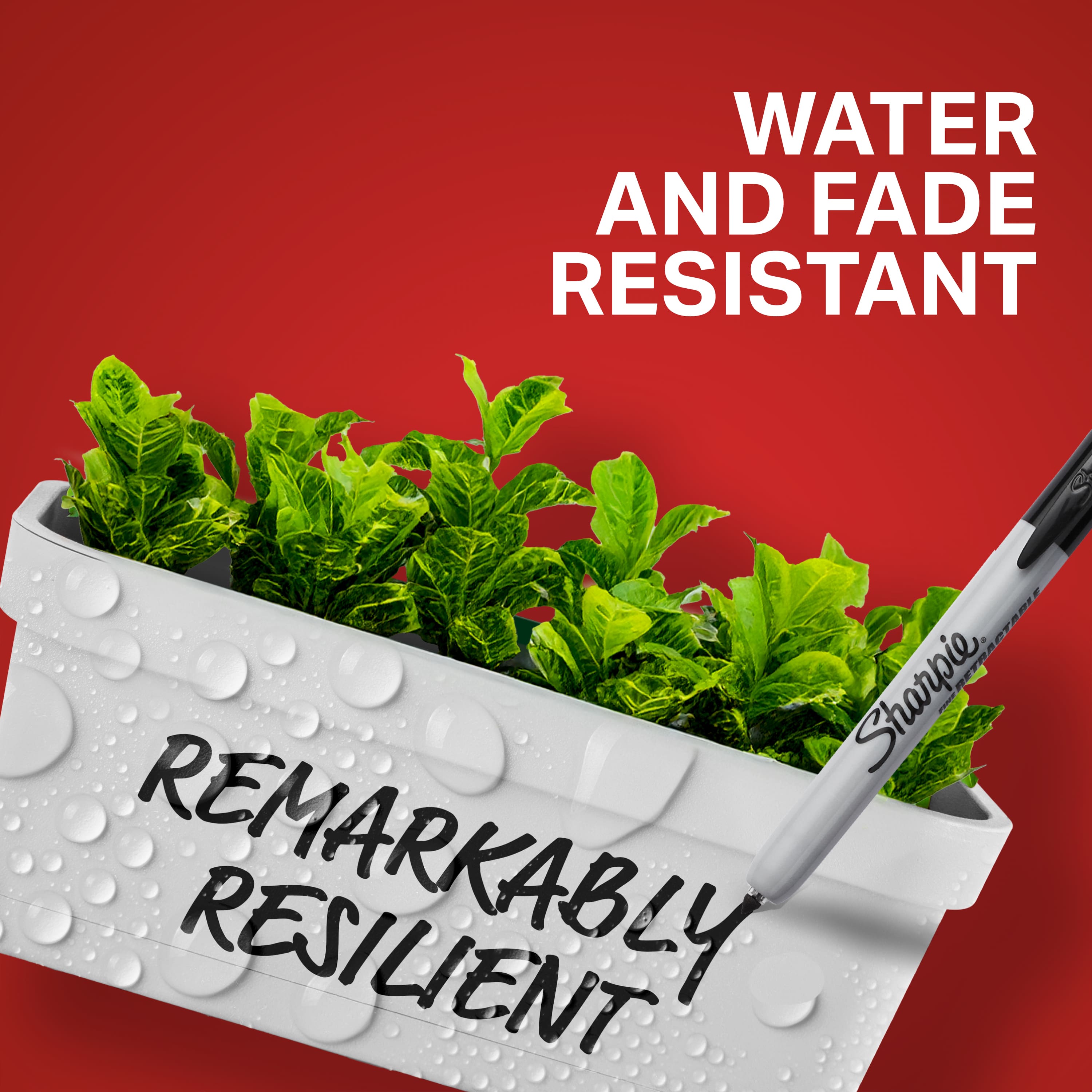 Sharpie® Fine Point Black Retractable Permanent Markers, 2ct.