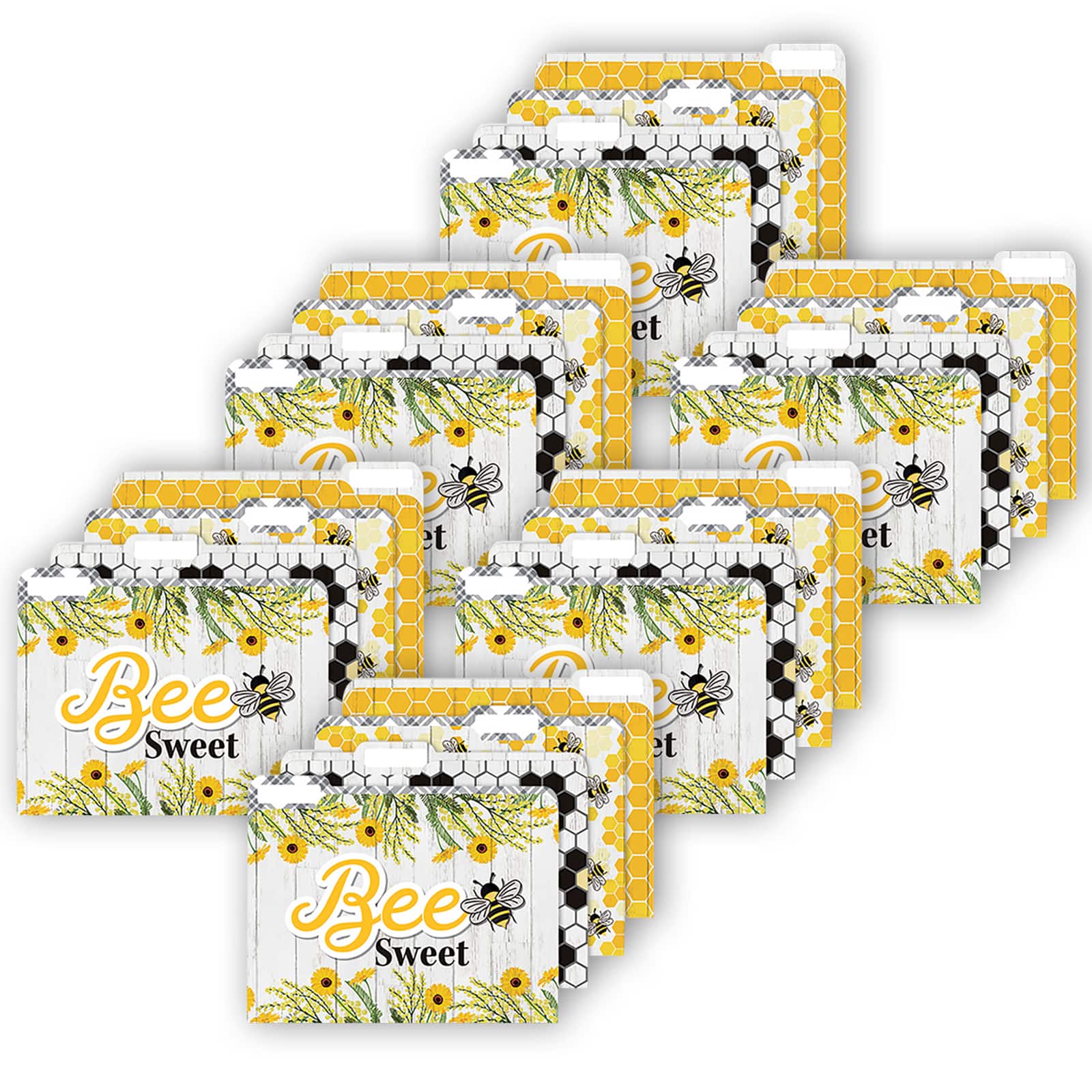 EUREKA® The Hive File Folders, 6 Packs of 4