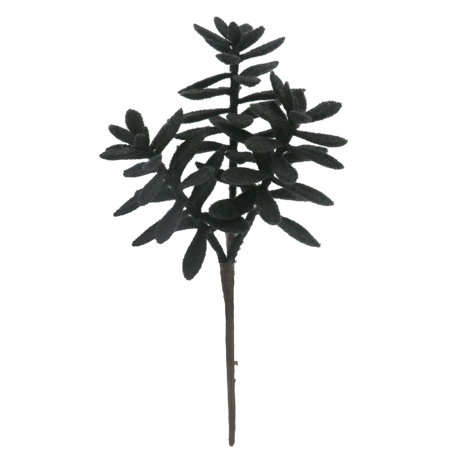 10" Black Succulent with Flocking Pick by Ashland®