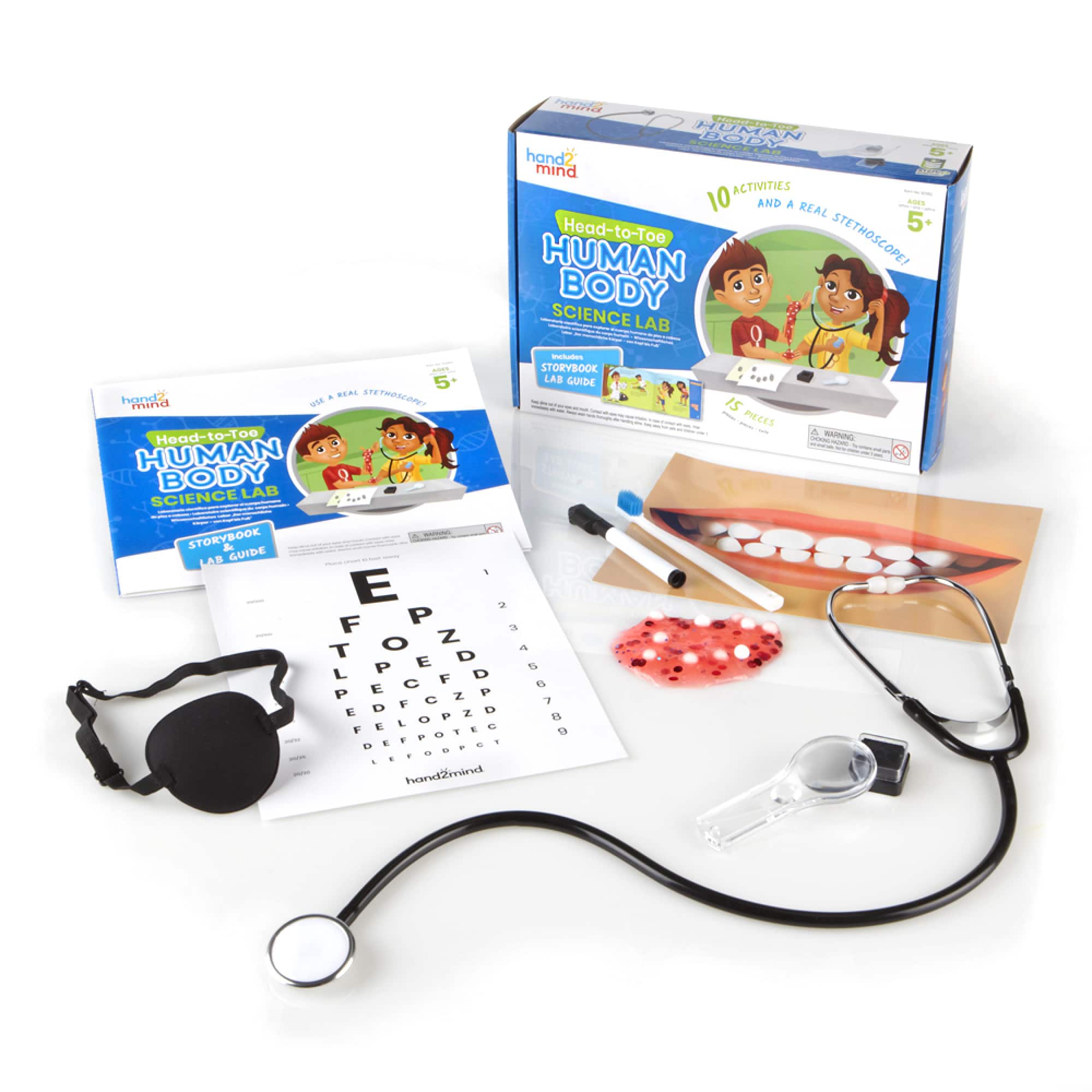 hand2mind Head-To-Toe Human Body Science Lab