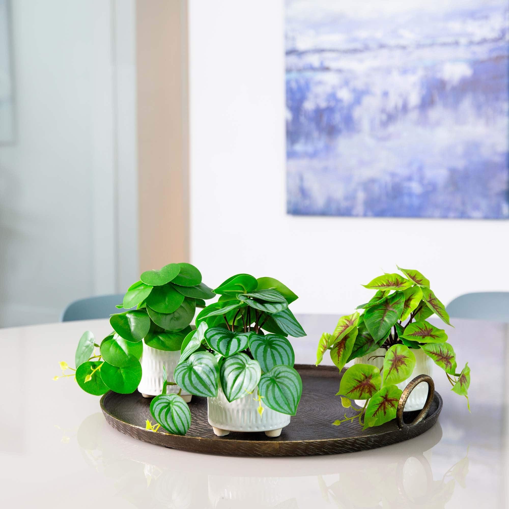 8" Mixed Greenery in Ceramic Planters Set