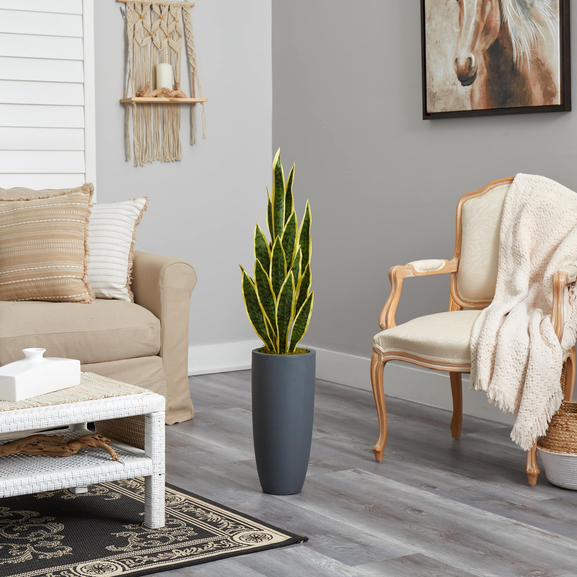 3.5ft. Snake Plant in Decorative Gray Planter