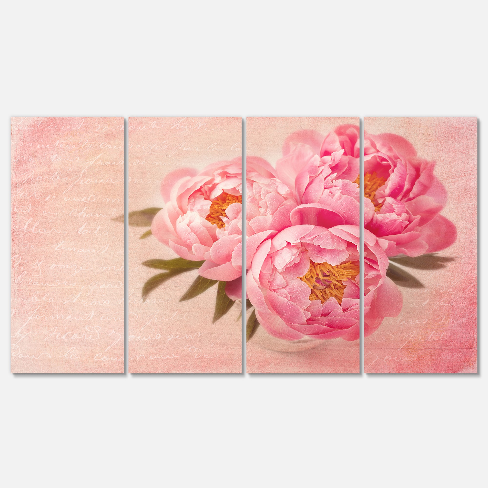 Designart - Peony Flowers against Scribbled Back