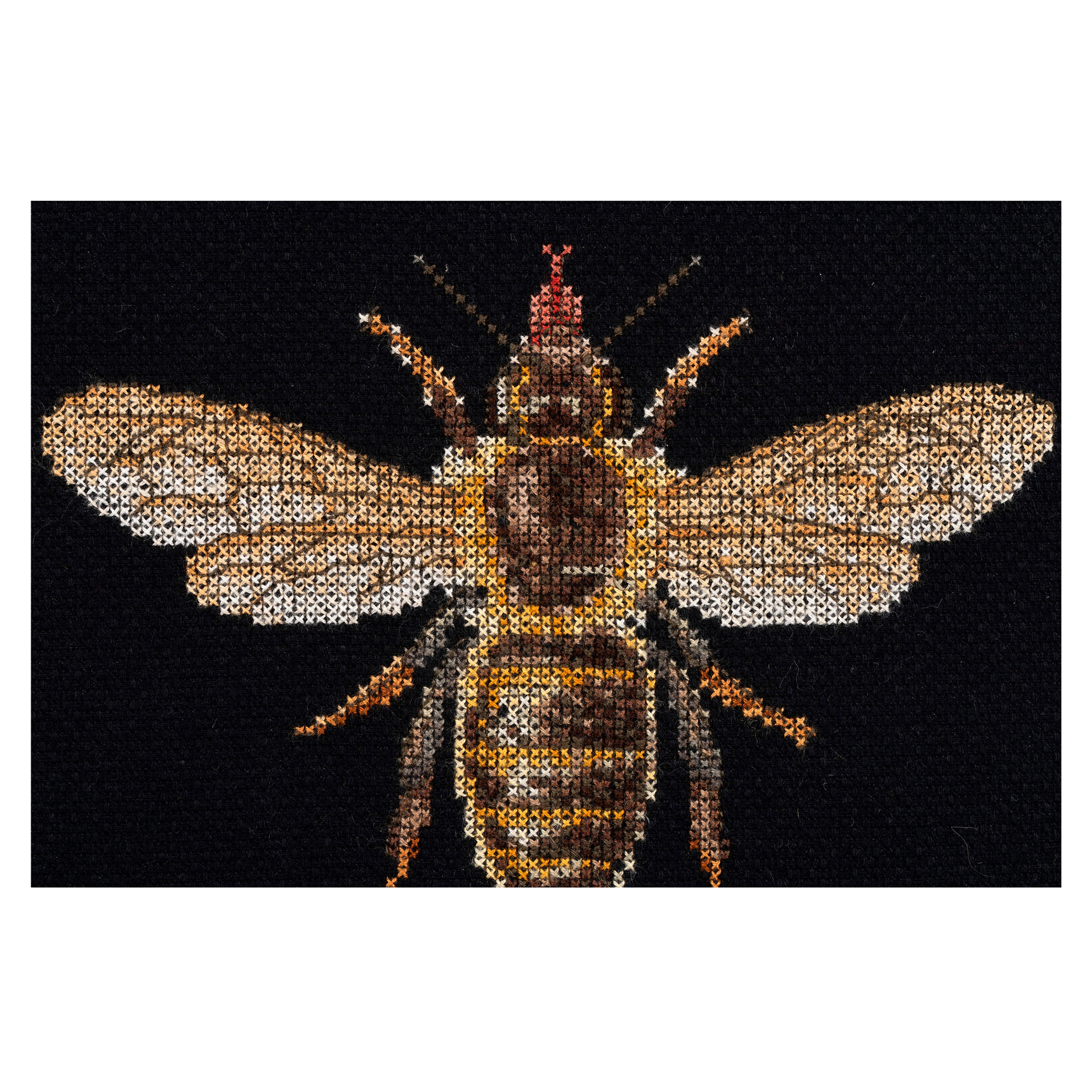 Thea Gouverneur Since 1959® Honey Bee Counted Cross Stitch Kit