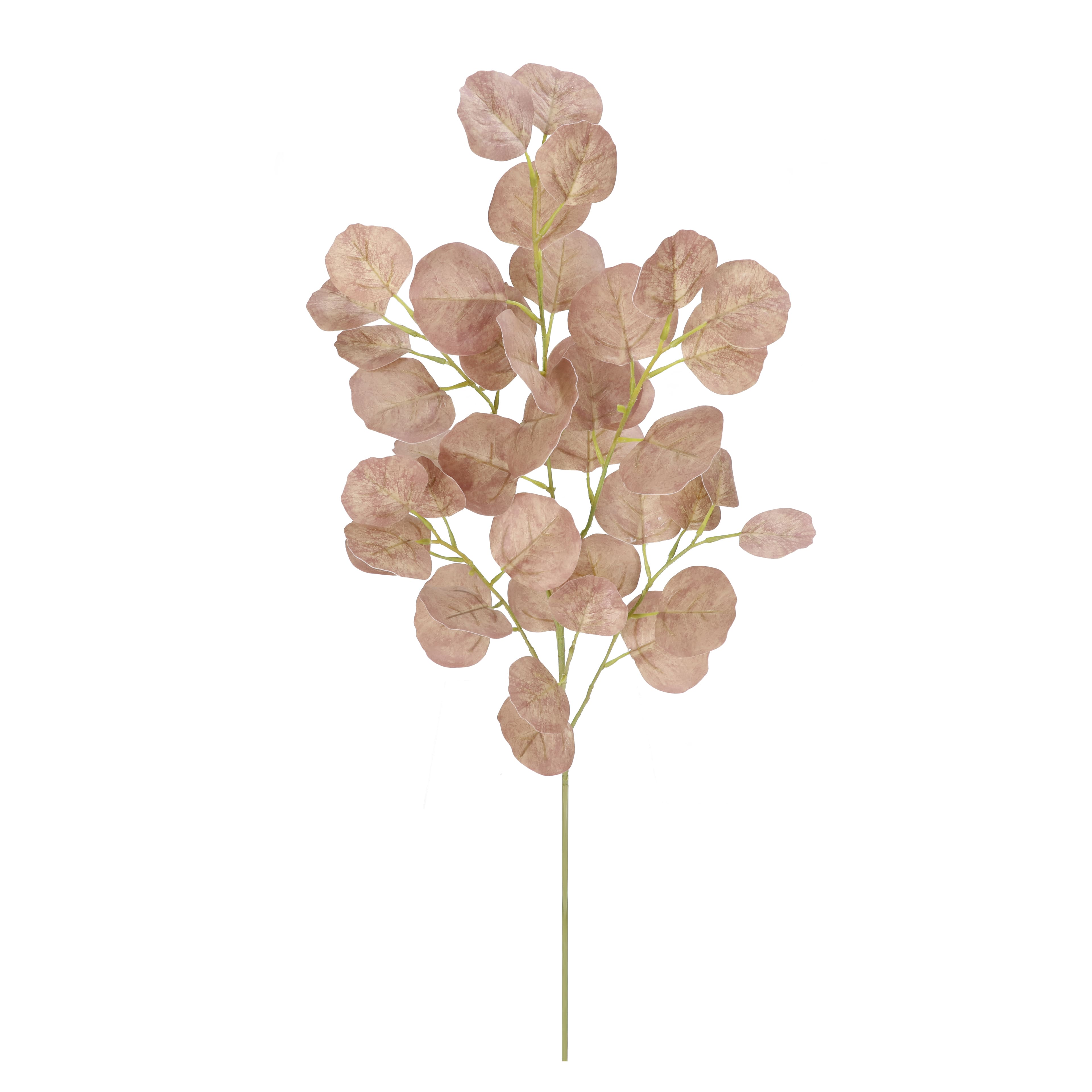 36" Oval Eucalyptus Real Touch Stem by Ashland®