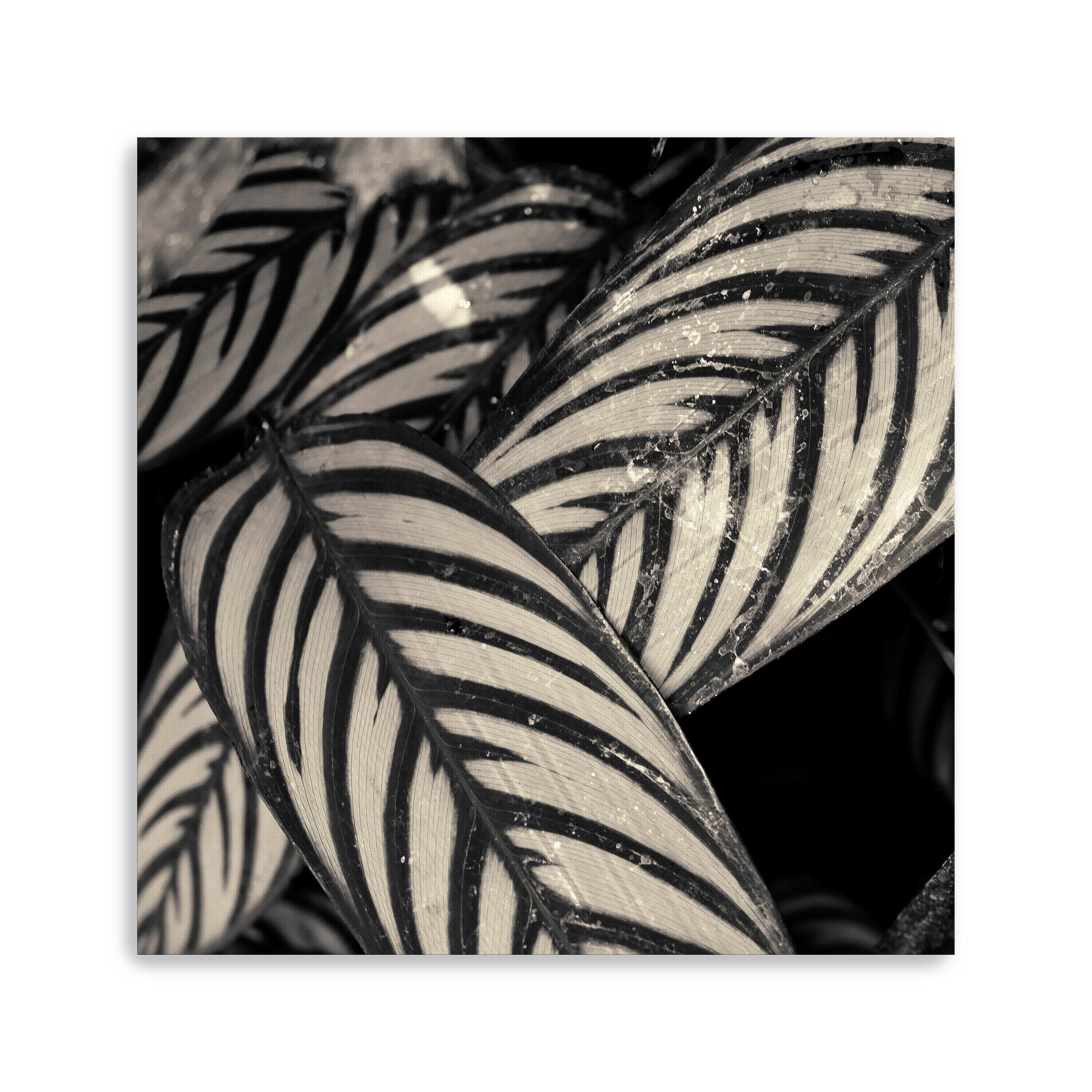 Varigated Leaves No. 2 Canvas Giclee