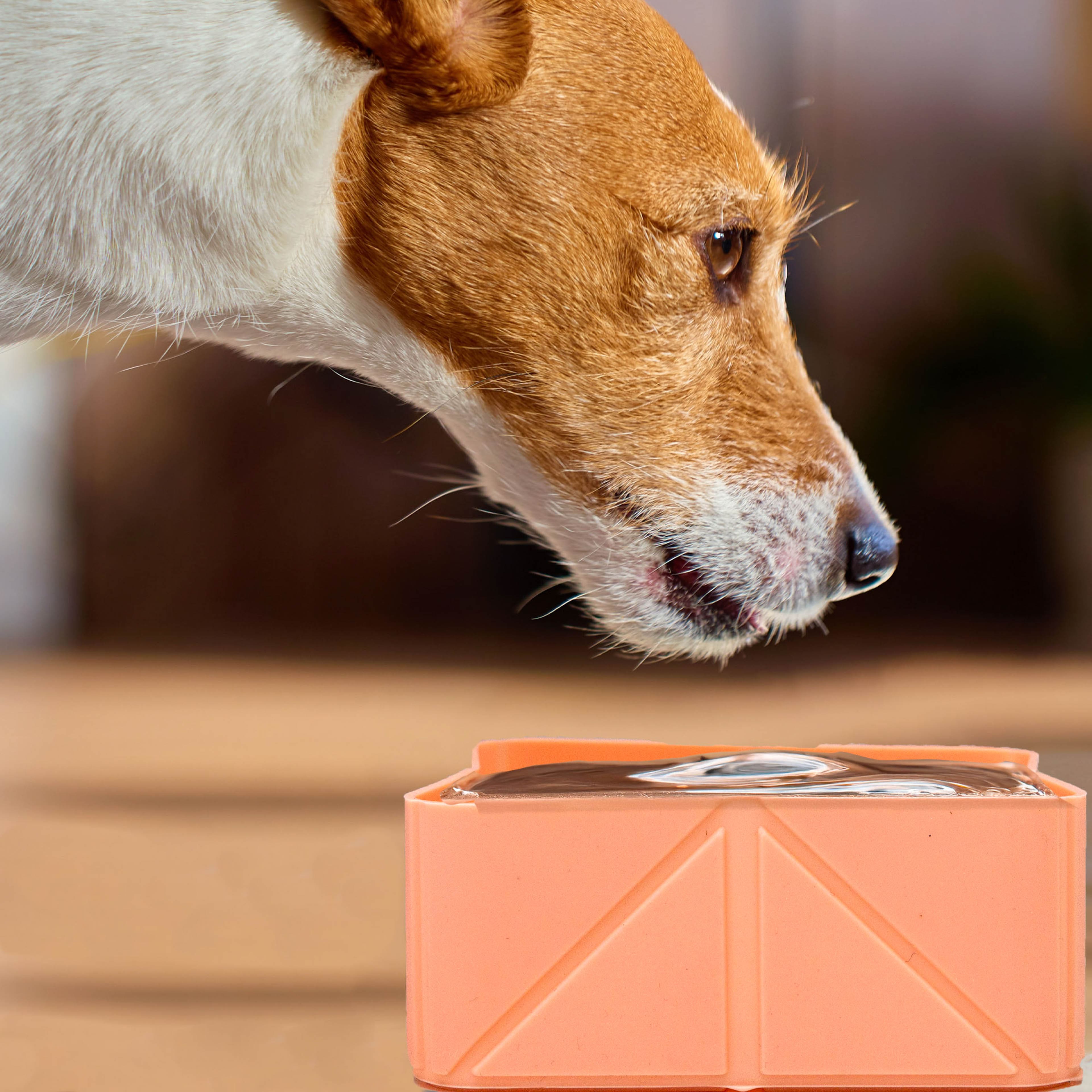 4.75" Orange Portable Pet Food Bowl