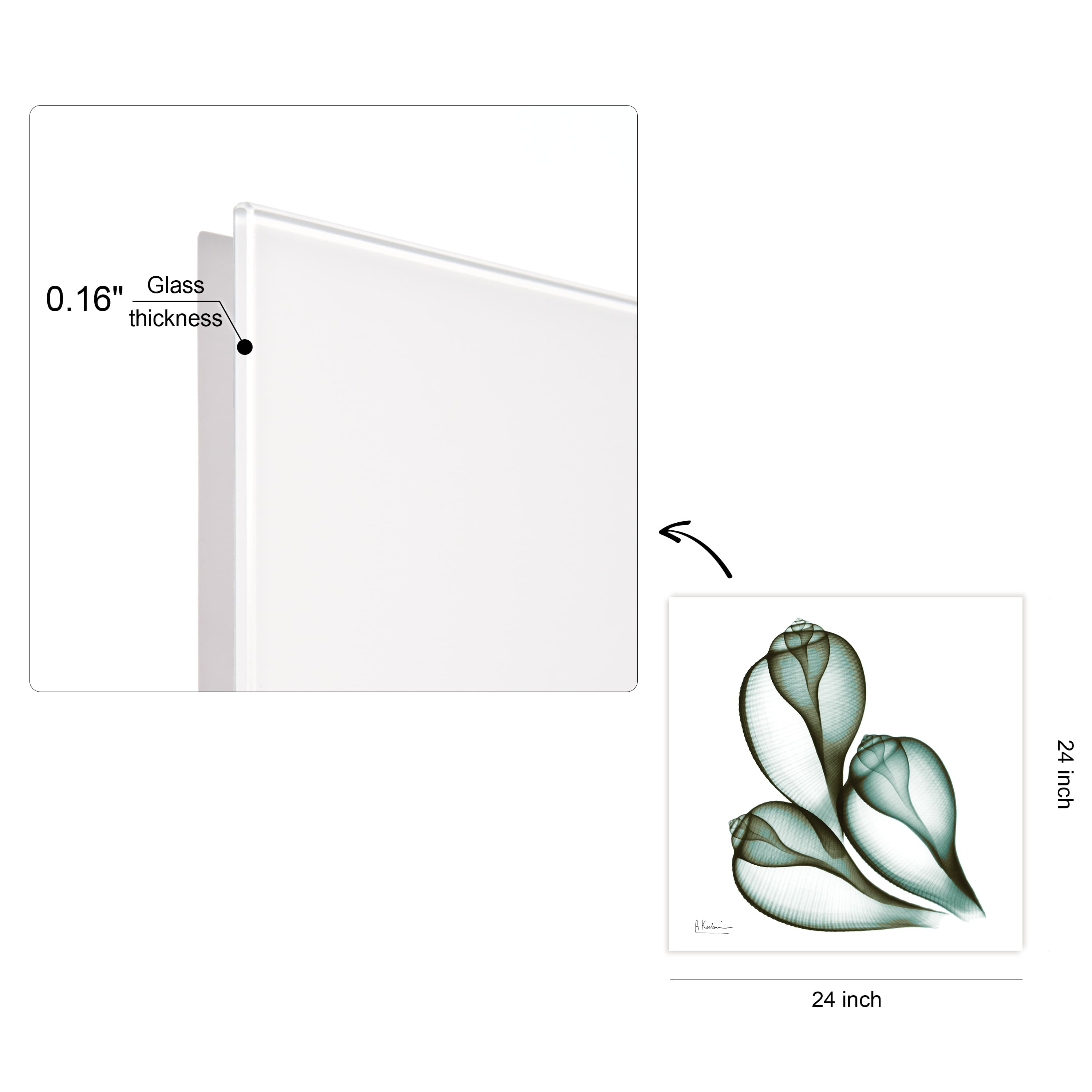 Empire Art Direct 24" x 24" Coastal Serenity Frameless Free Floating Printed Tempered Glass Wall Art