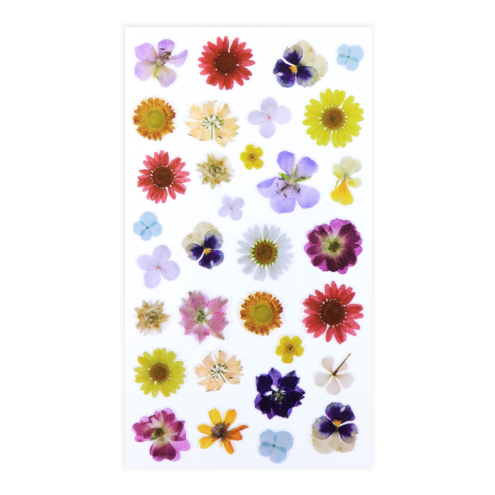 12 Pack: Dried Flower Stickers by Recollections™