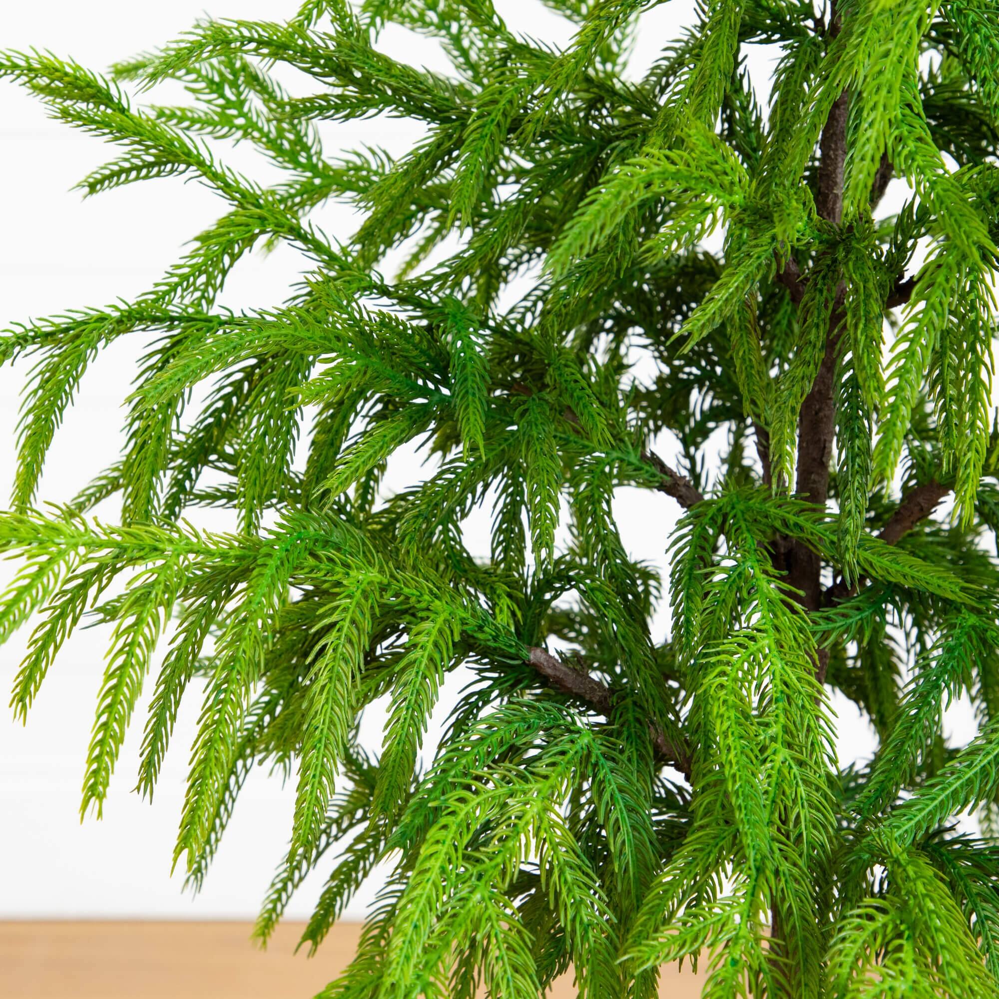 3ft. Unlit Real Touch Norfolk Island Pine Artificial Christmas Tree in Metal Planter