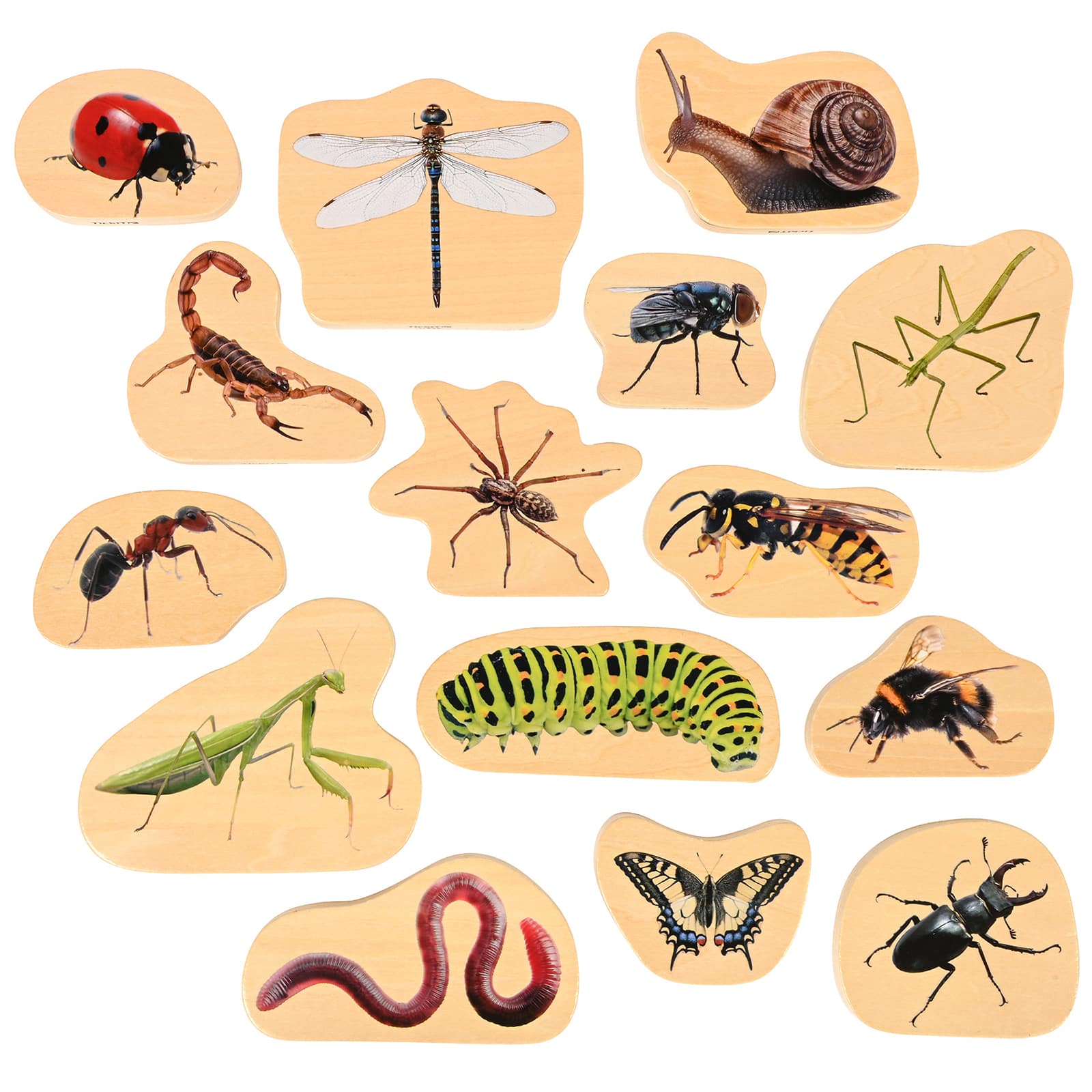 TickiT® Wooden Minibeast Blocks Set