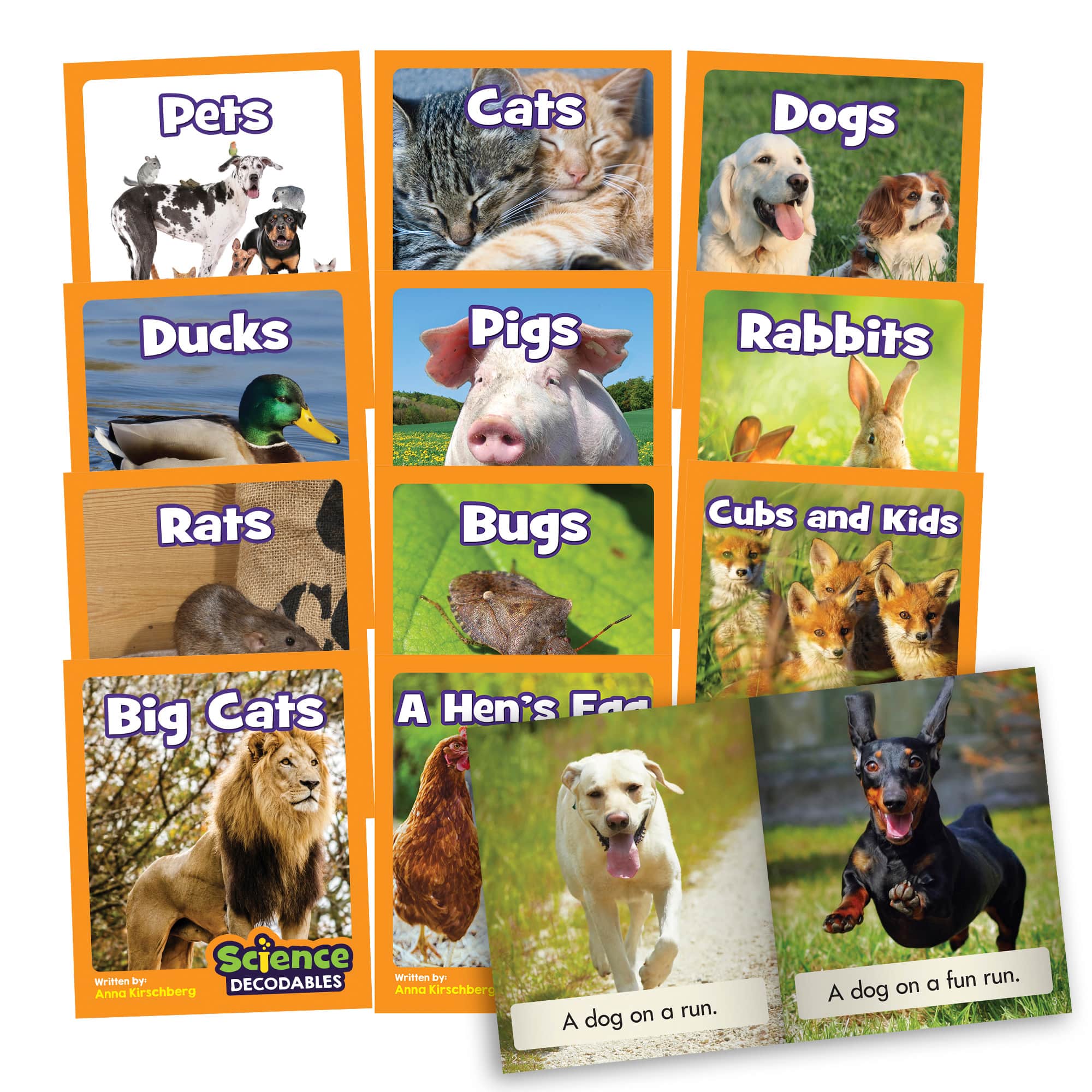 Junior Learning® Science Decodables Phase 2 Non-Fiction Educational Learning Set