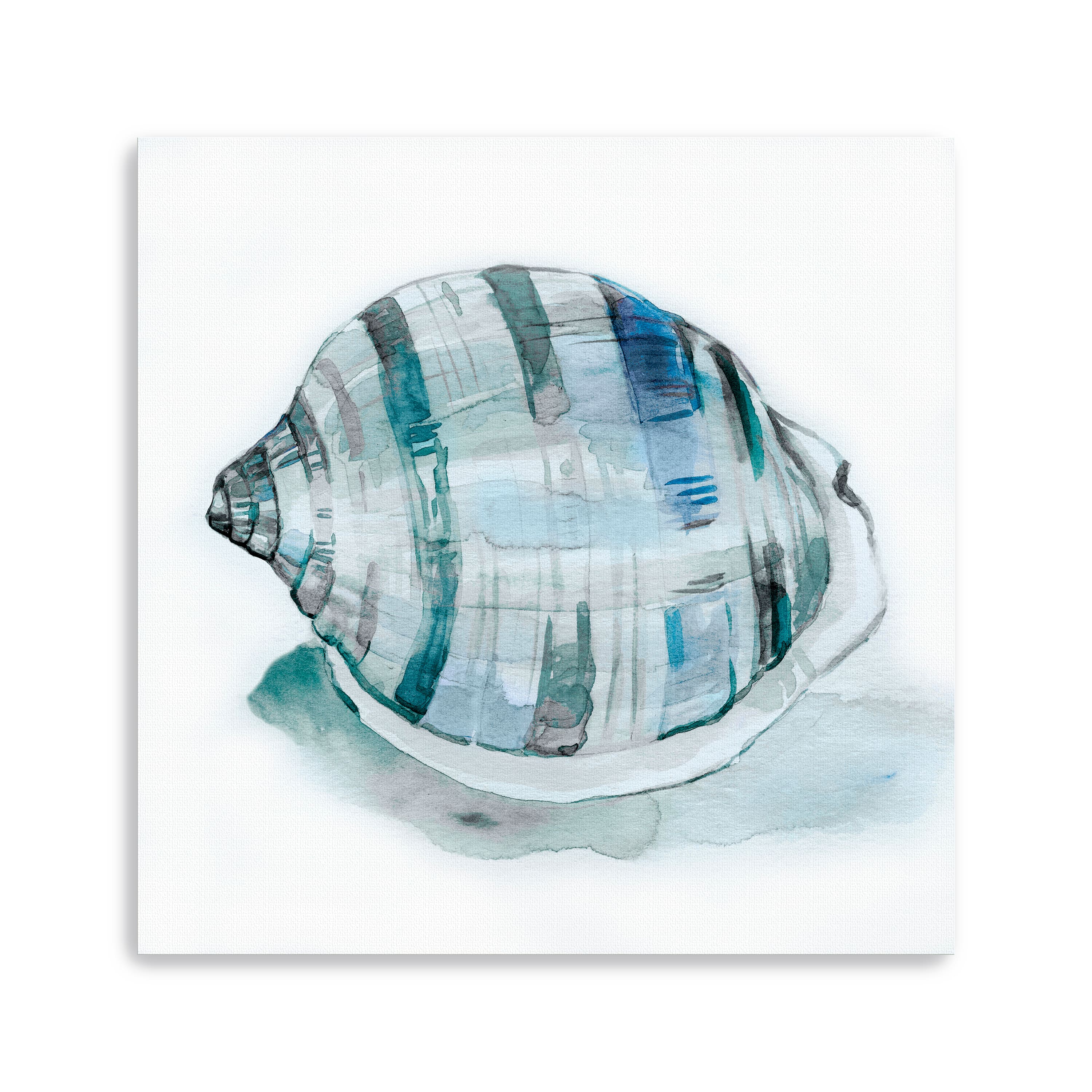 Le Coquillage I Canvas Giclee