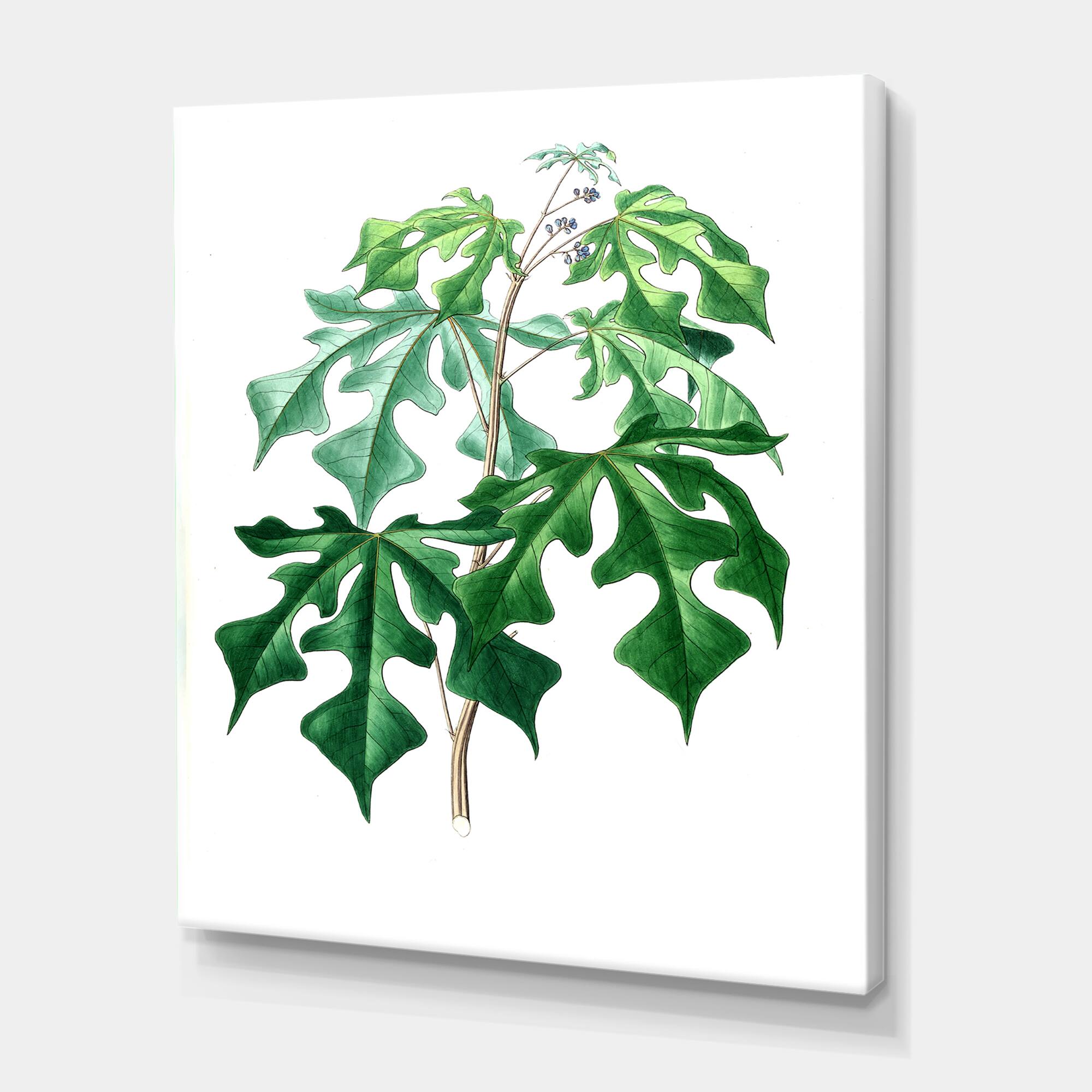 Designart - Vintage Green Leaves Plants II