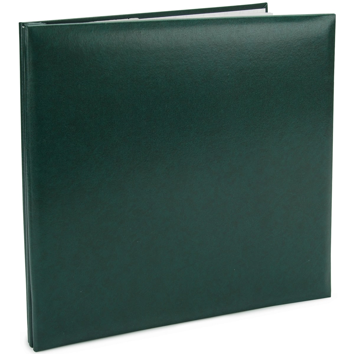 Pioneer® Leatherette Post Bound Album, 12" x 12"