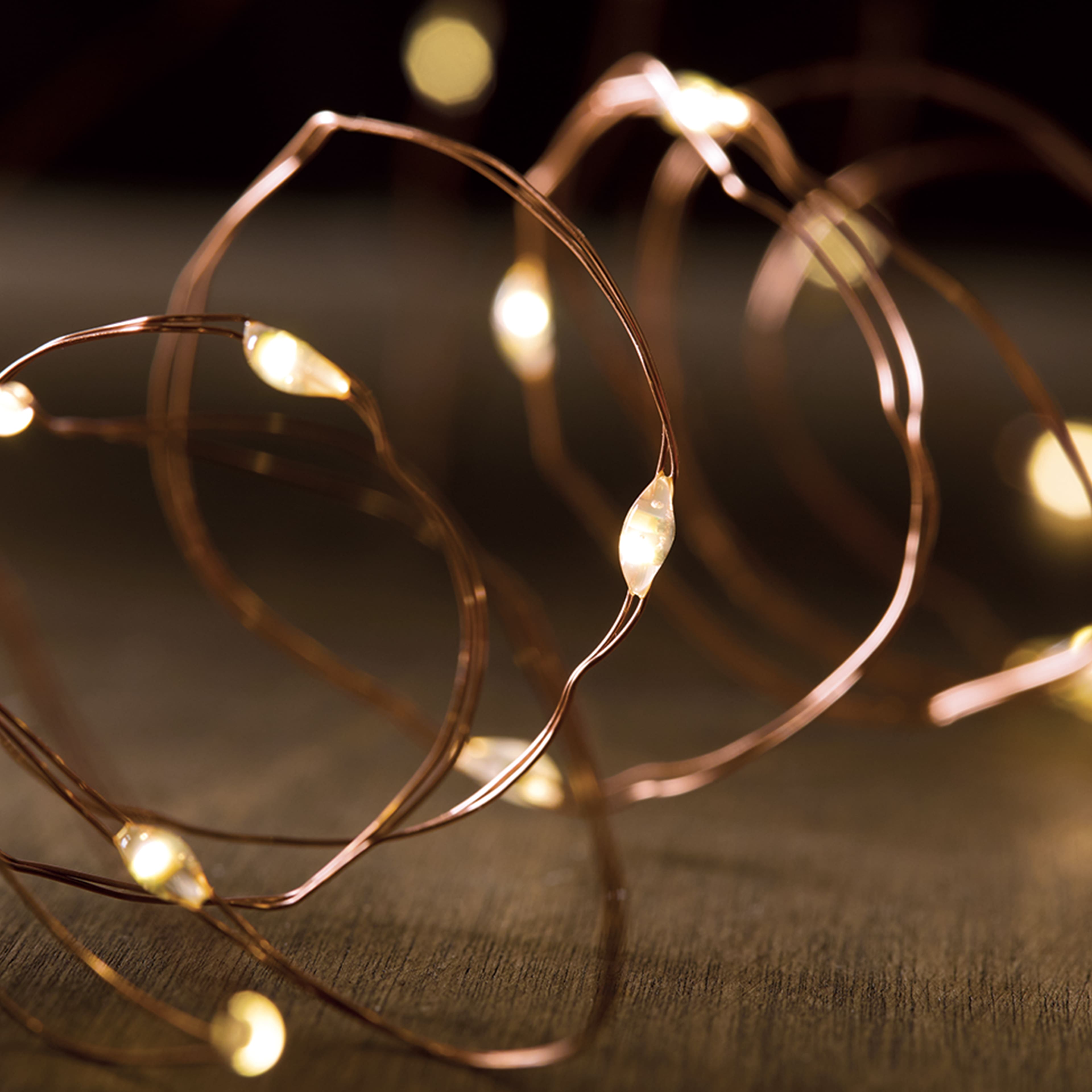 50ct. Warm White & Amber LED String Lights by Ashland®