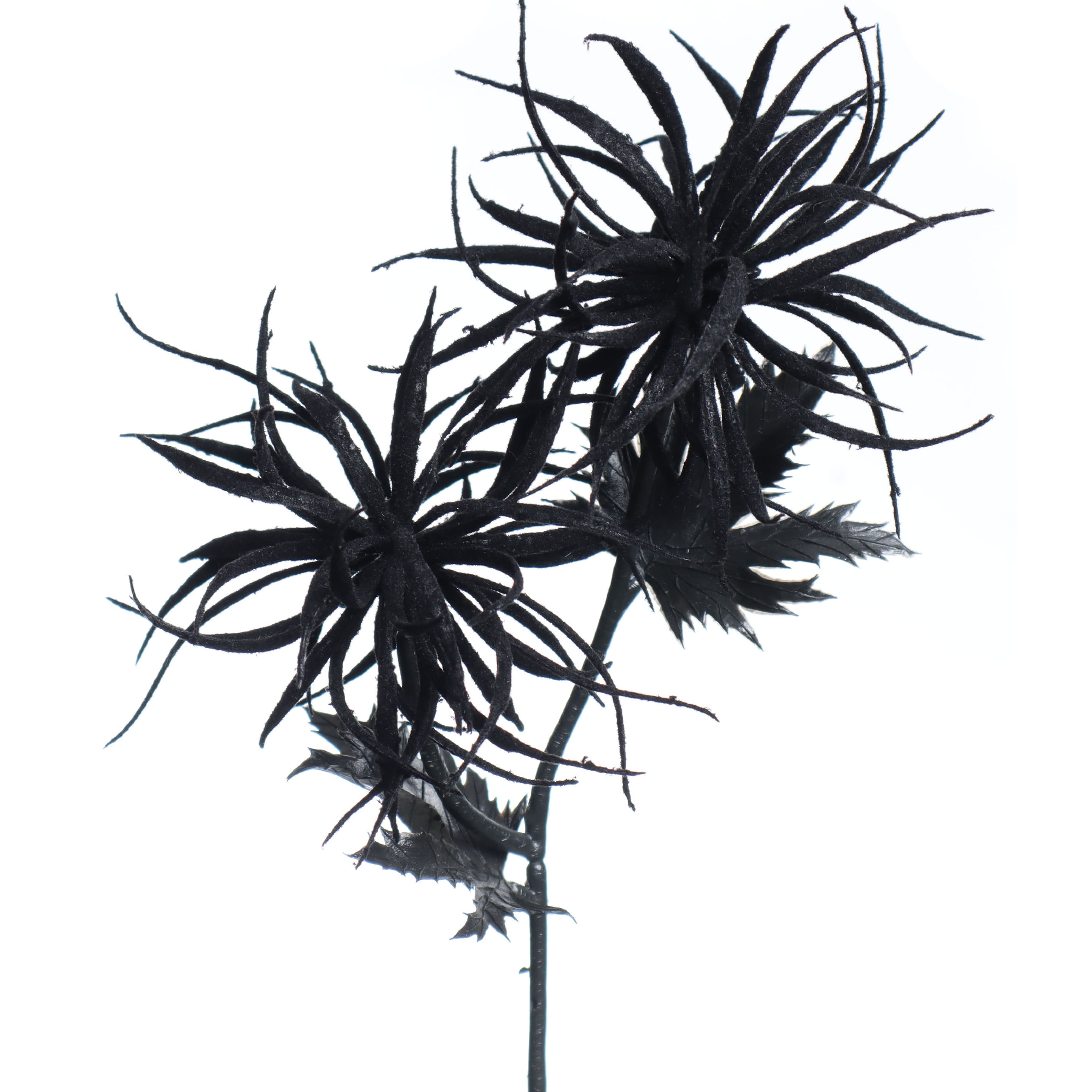 12" Black Airplant Pick by Ashland.