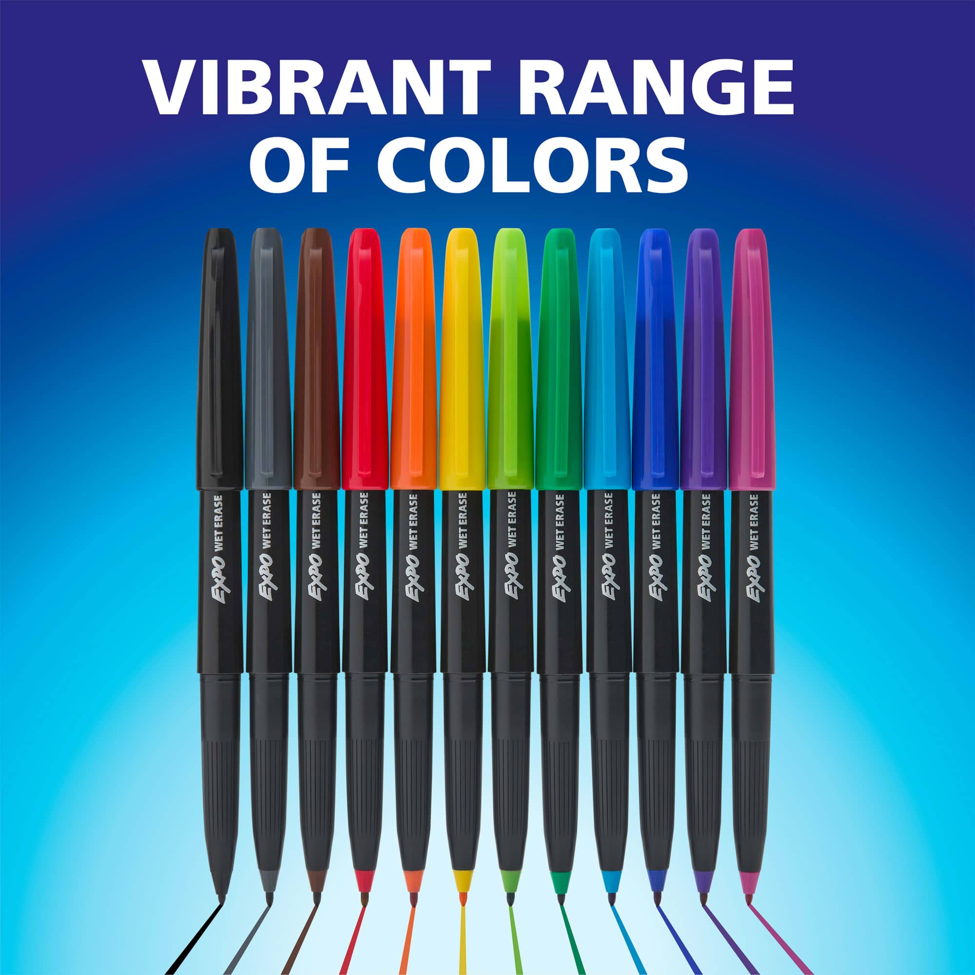 Expo® Vis-à-Vis® Ultra Fine Tip Black Wet Erase Markers, 12ct.