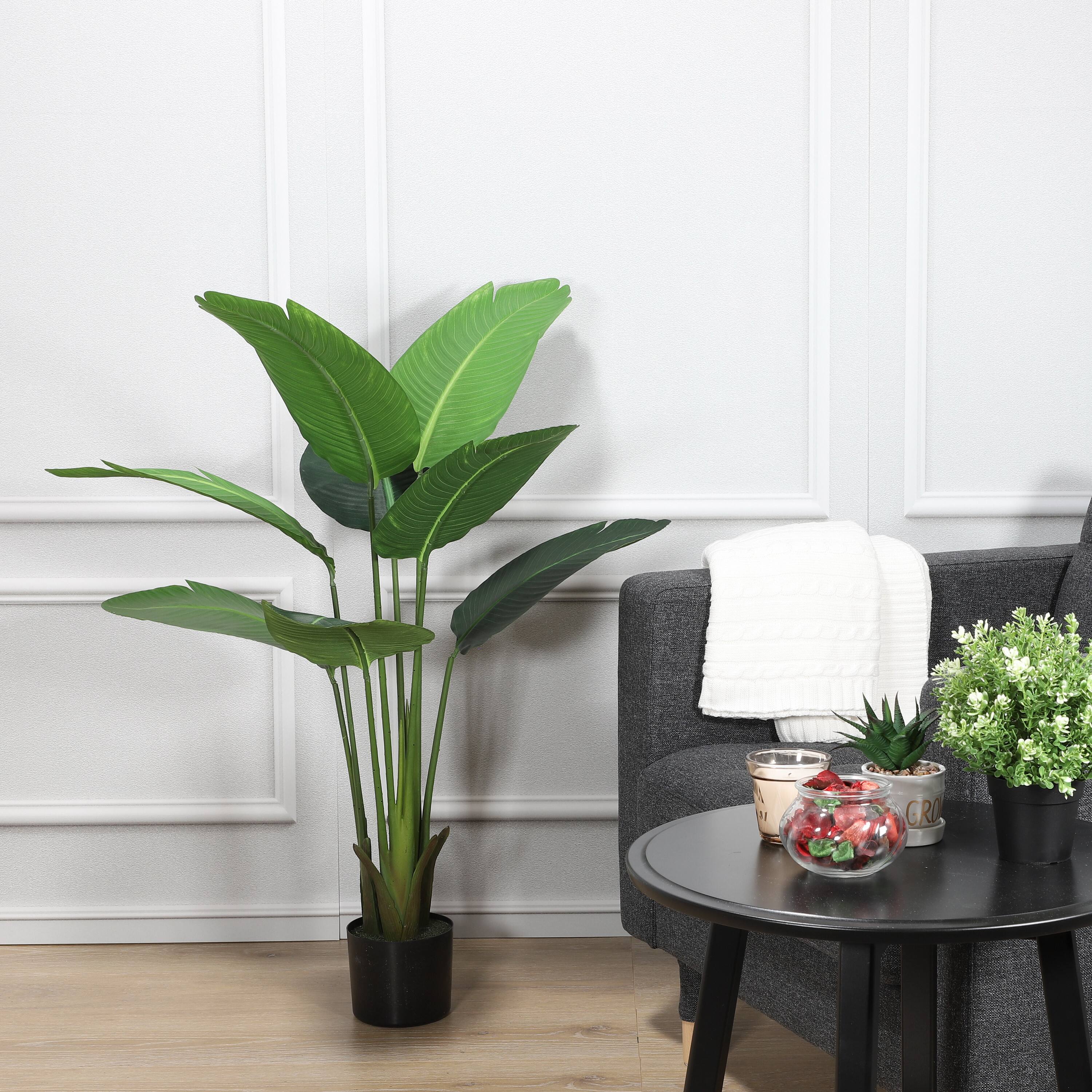 6 Pack: 4ft. Travelers Palm in Black Planter