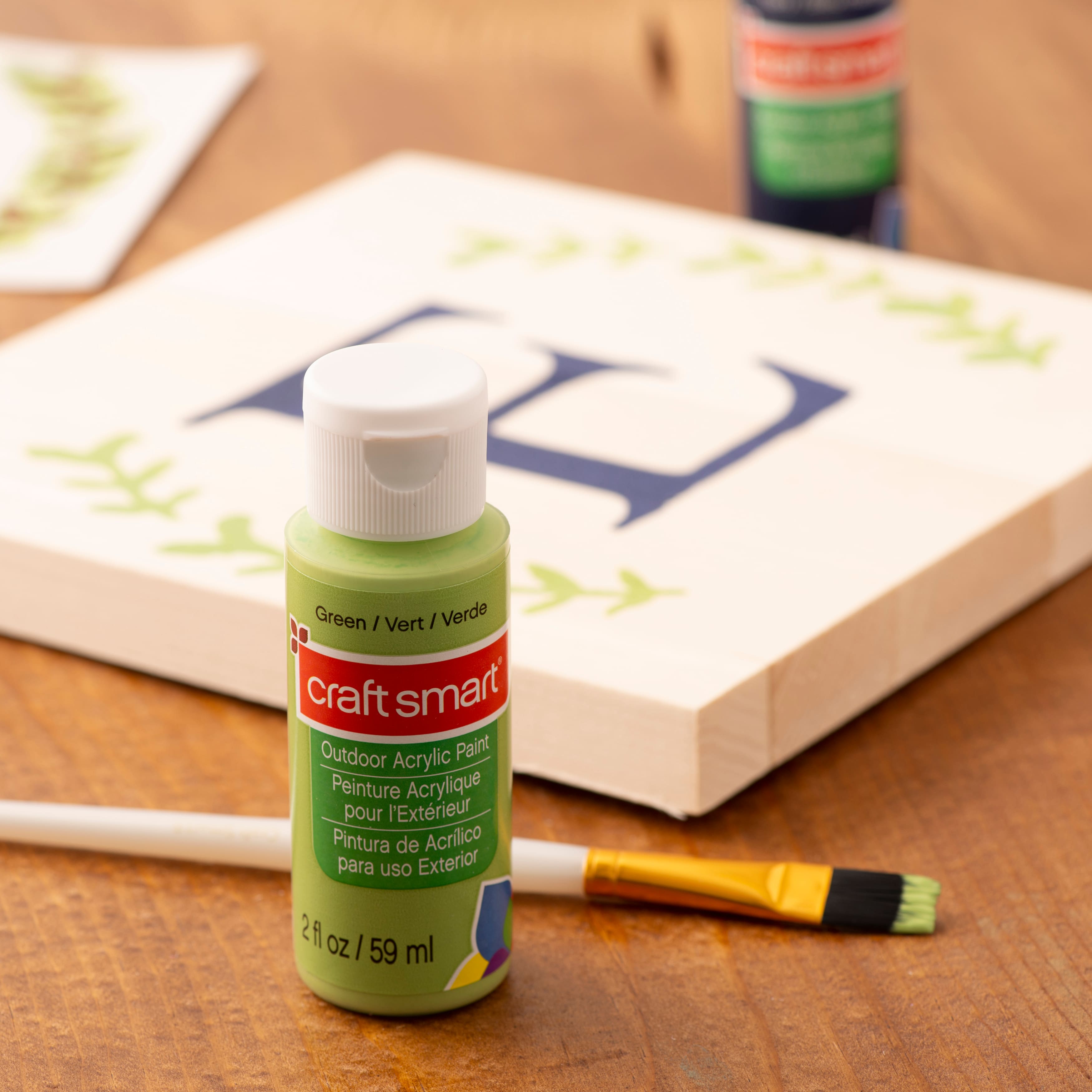 12 Pack: Outdoor Acrylic Paint by Craft Smart®, 2oz.