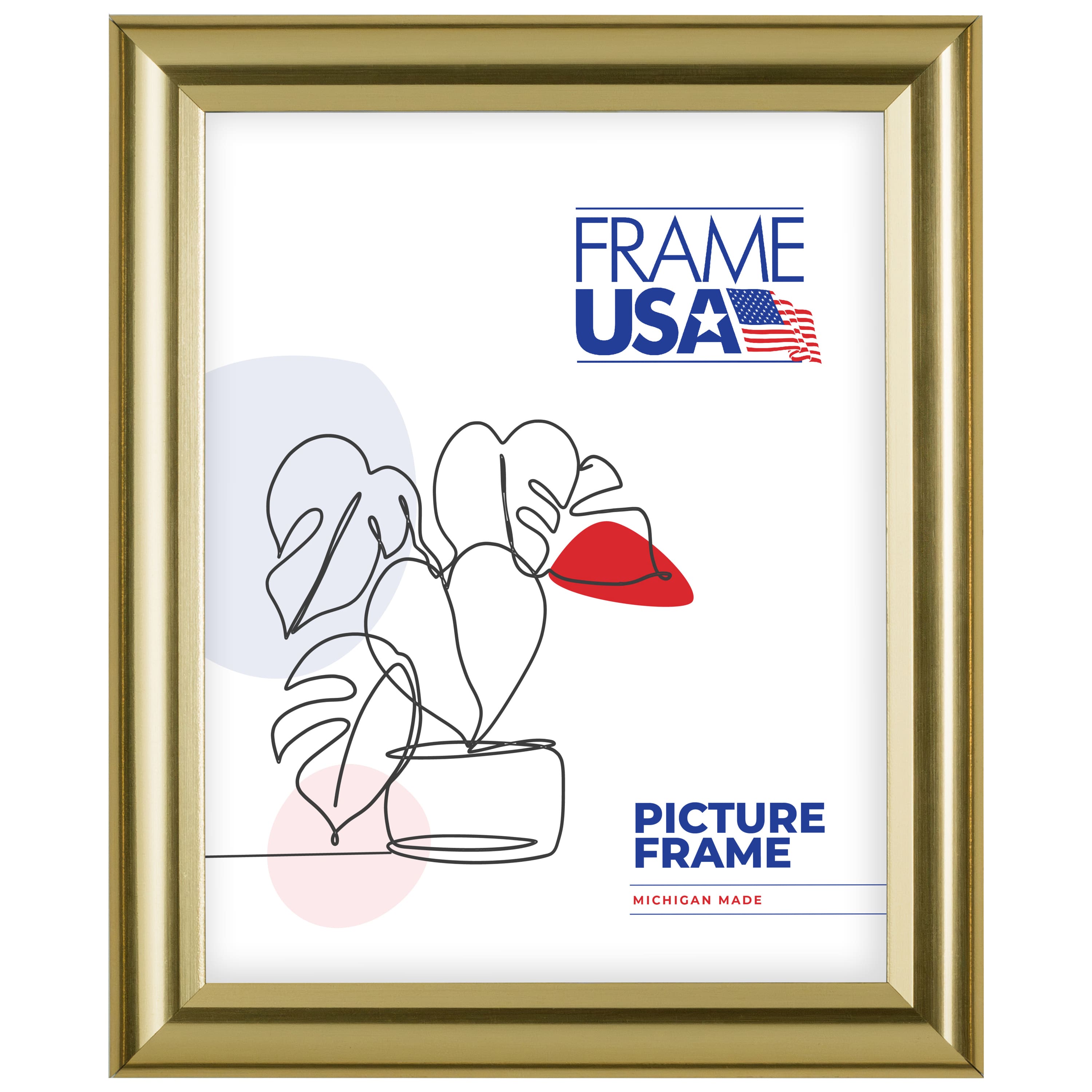 Frame USA Deluxe Poster Gold Single Image Picture Frame