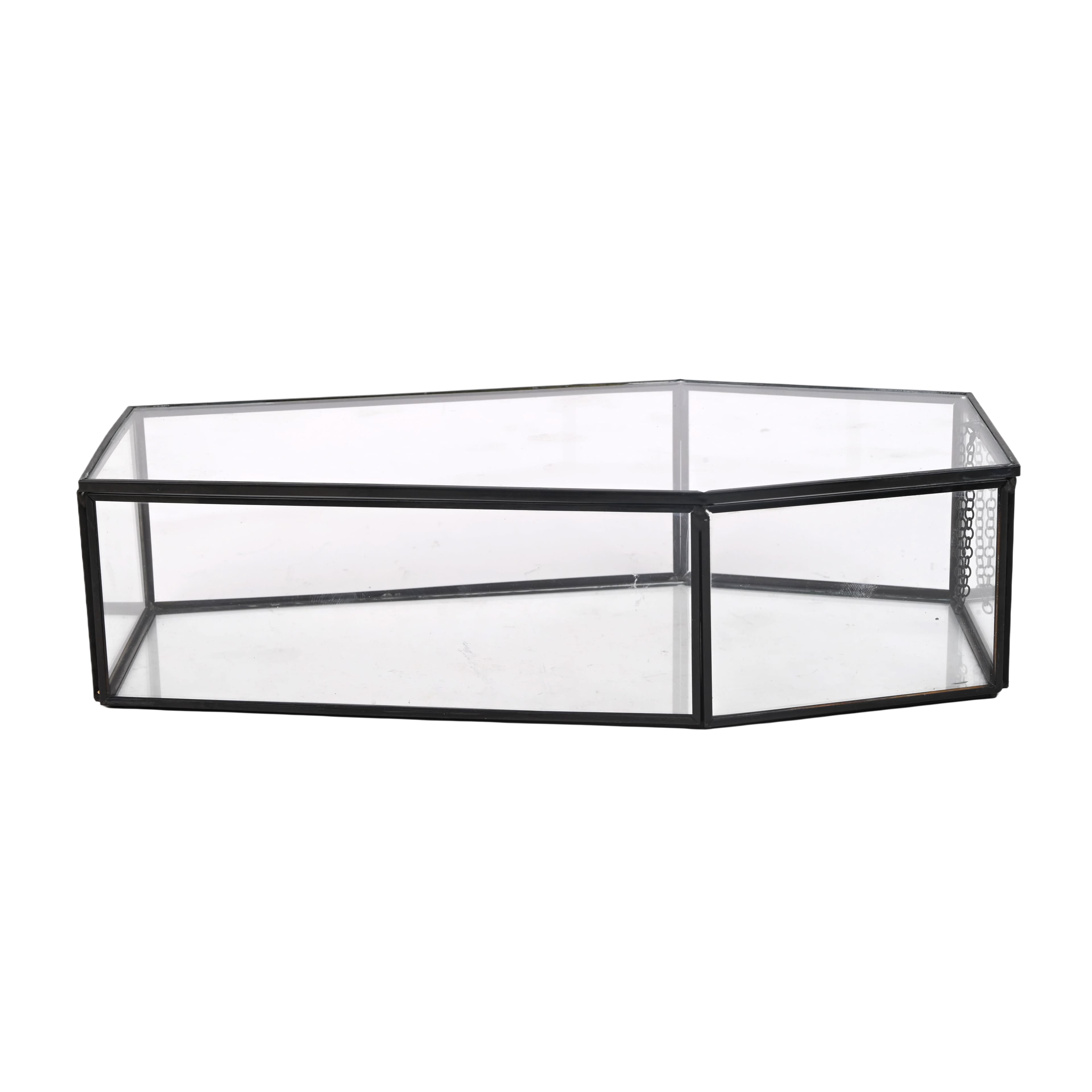 Clear Glass Terrarium Coffin with Lid by Ashland