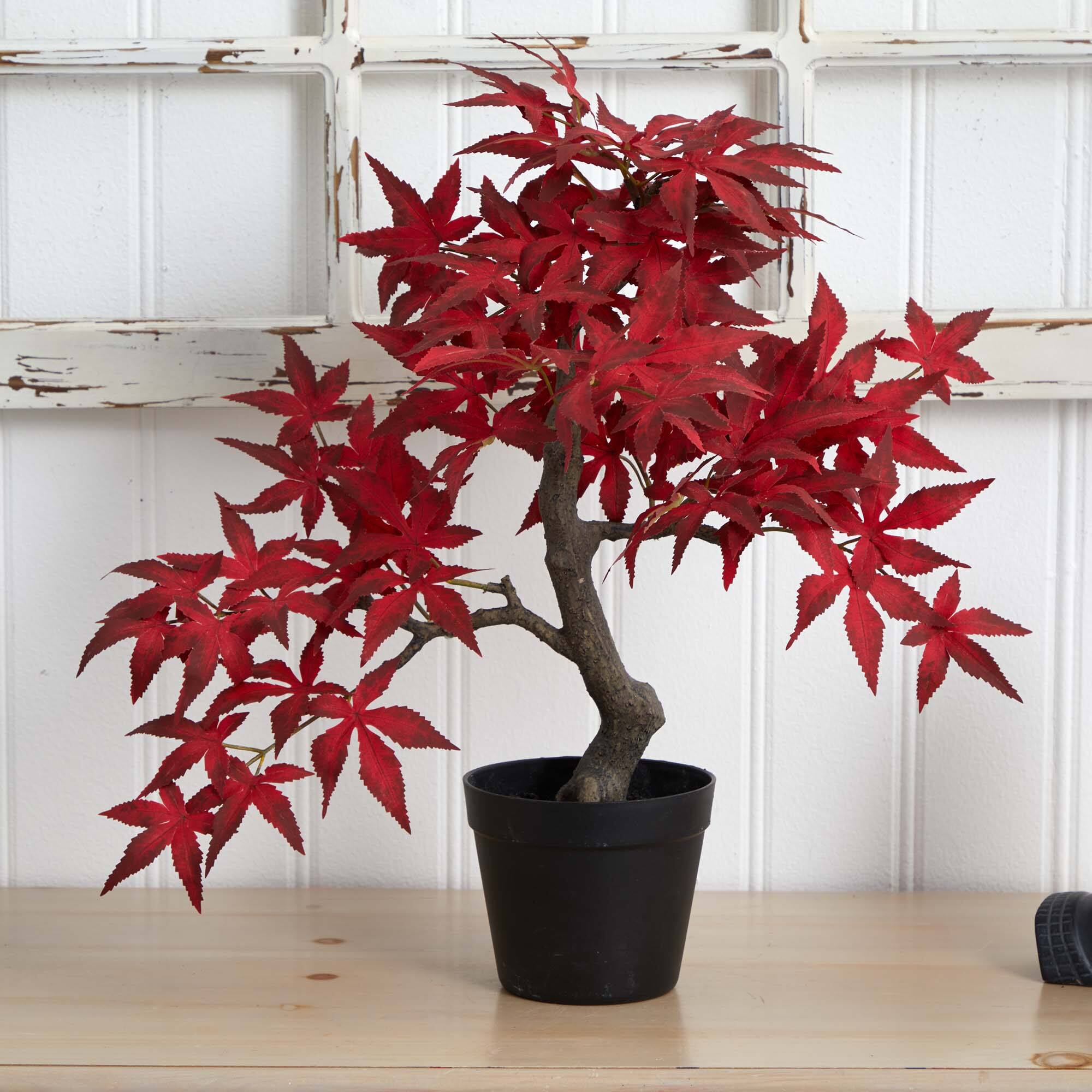 20" Autumn Maple Bonsai Artificial Tree