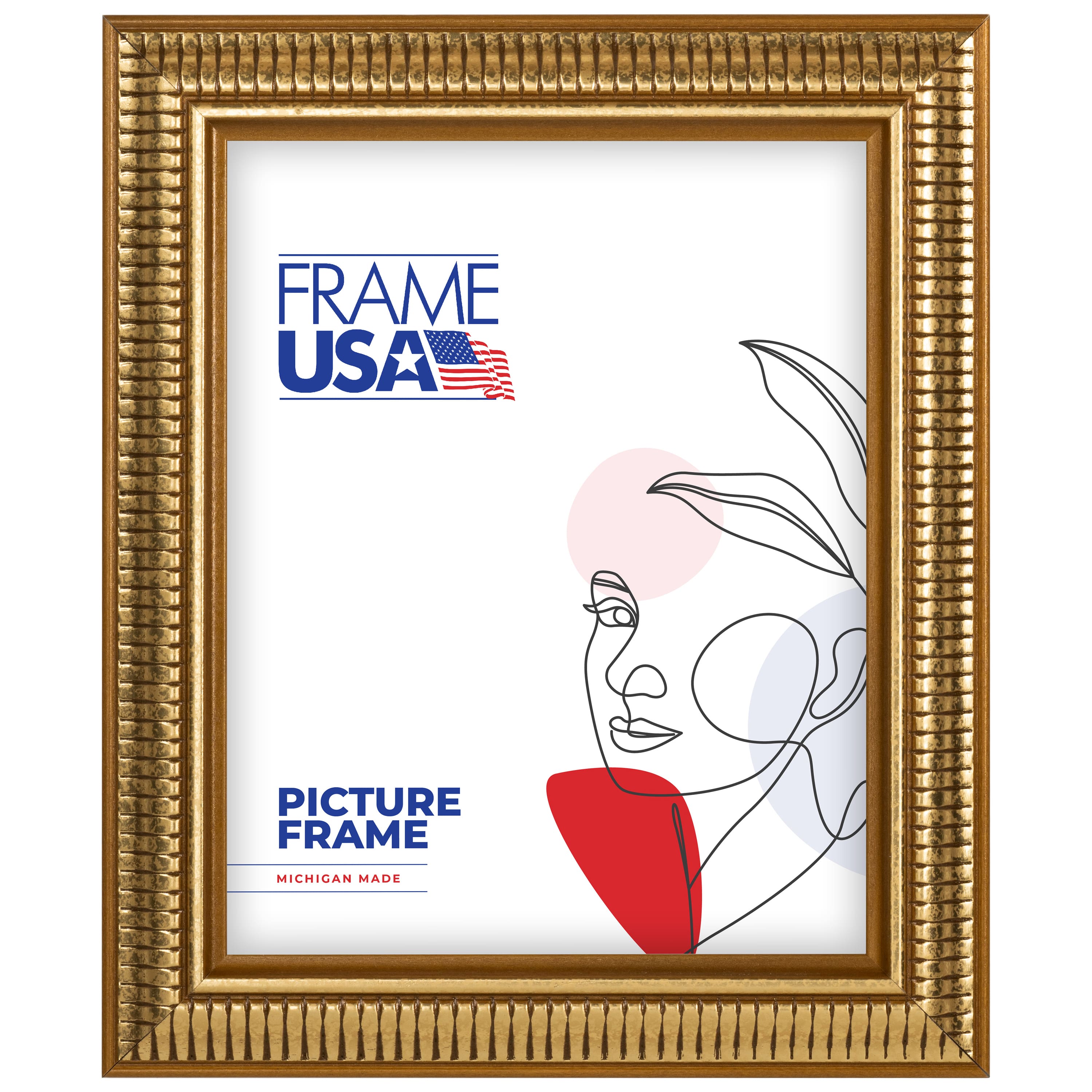 Frame USA American Value 797 Gold Single Image Picture Frame