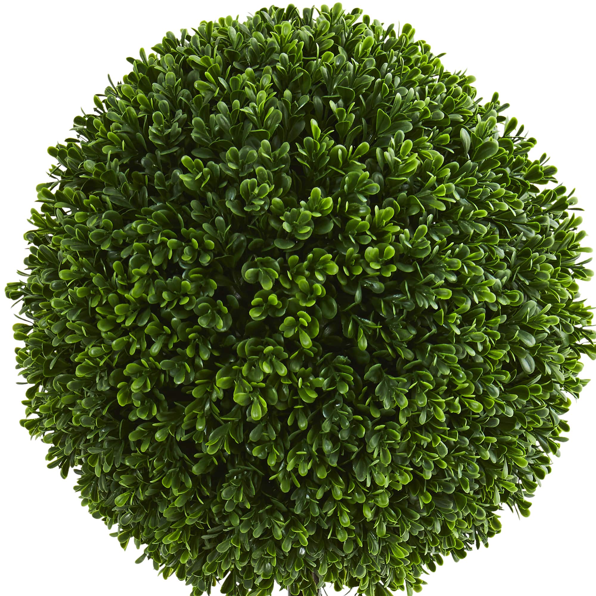 2.5ft. Potted Boxwood Ball Topiary Tree