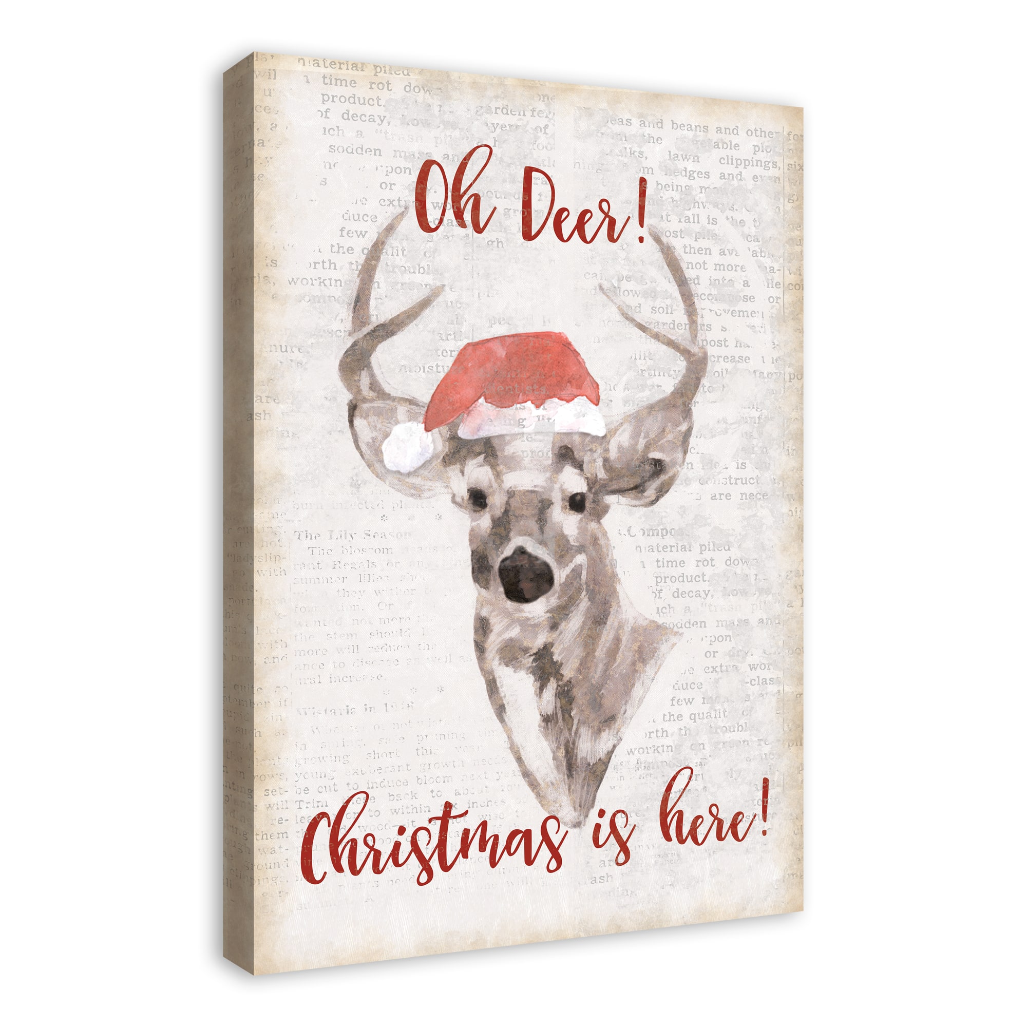 Oh Deer Christmas Here Canvas Wall Art