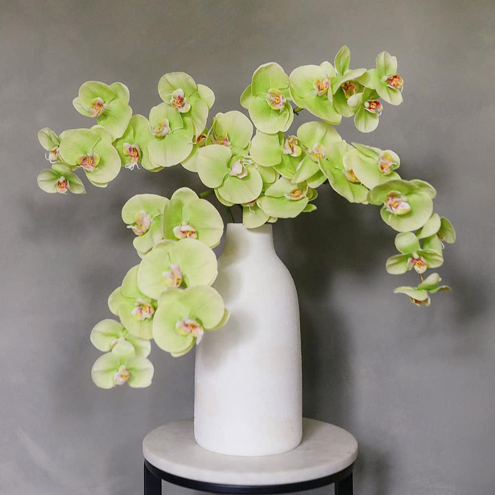 Prestige Botanicals 33" Green Faux Phalaenopsis Orchid Stem