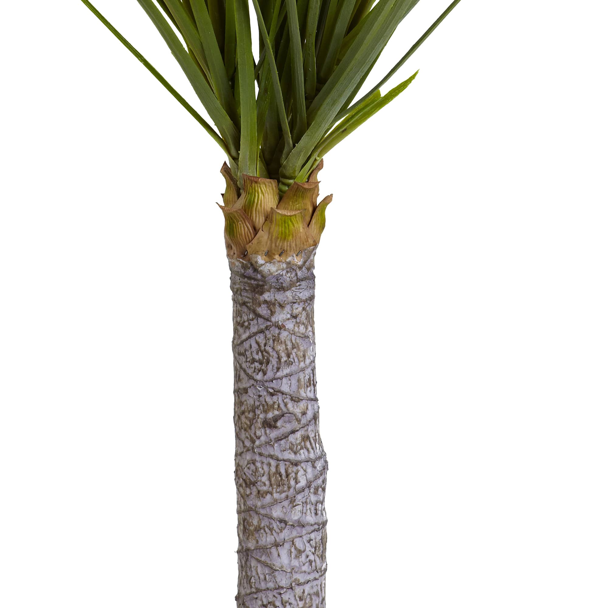 3ft. Potted Yucca Tree