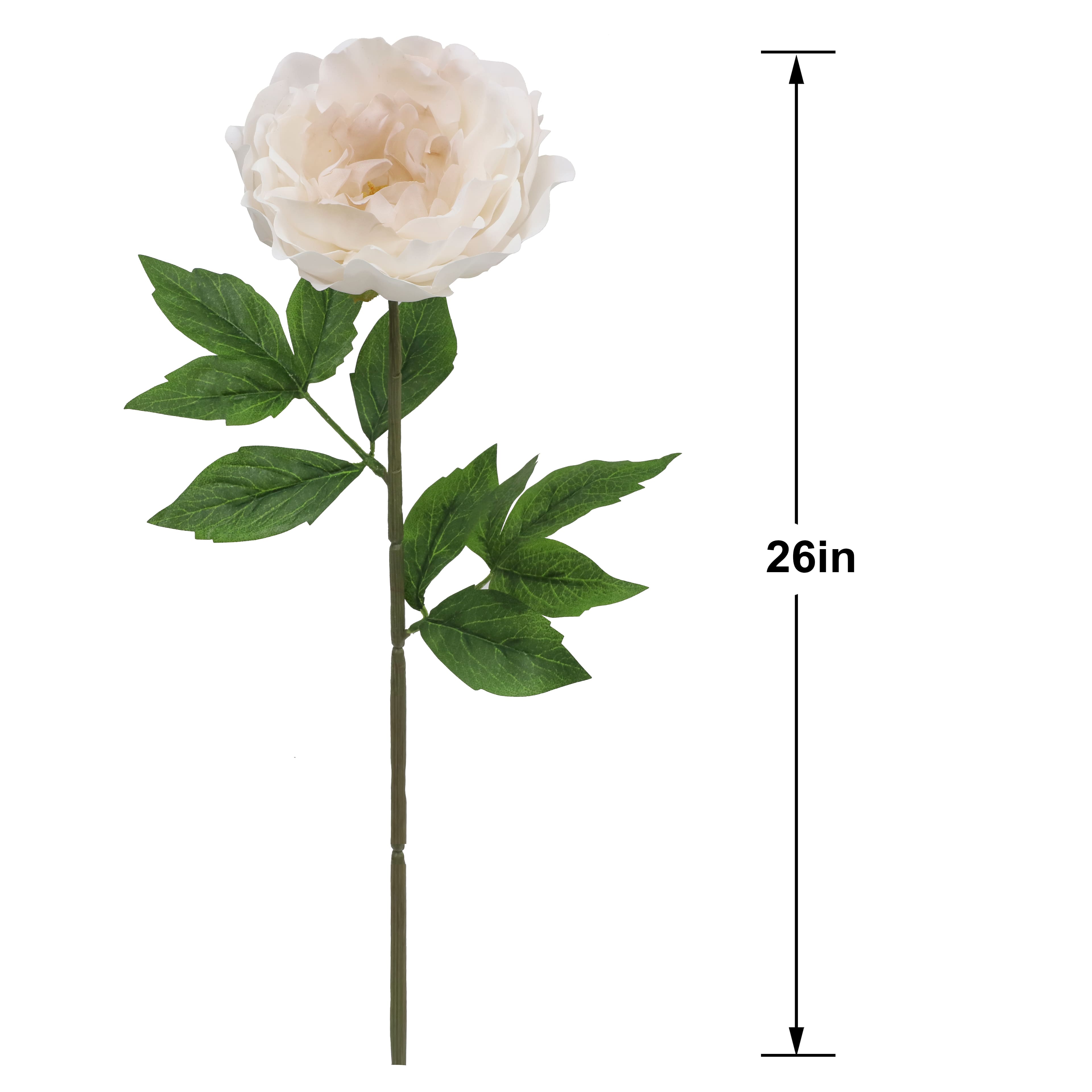 27" Peony Real Touch Stem by Ashland